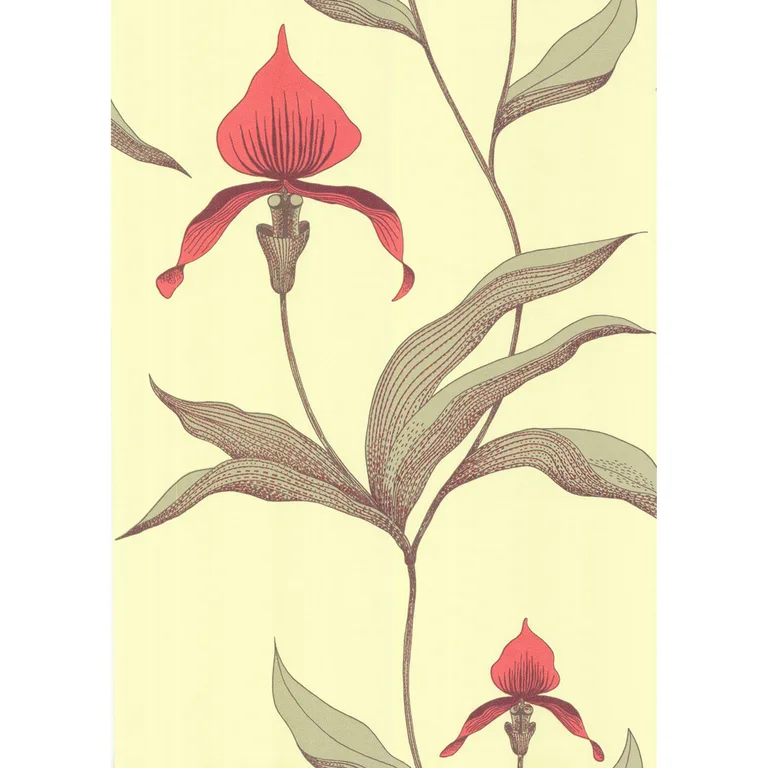 Cole & Son Orchid in Lime/or (66/4033.CS.0)
