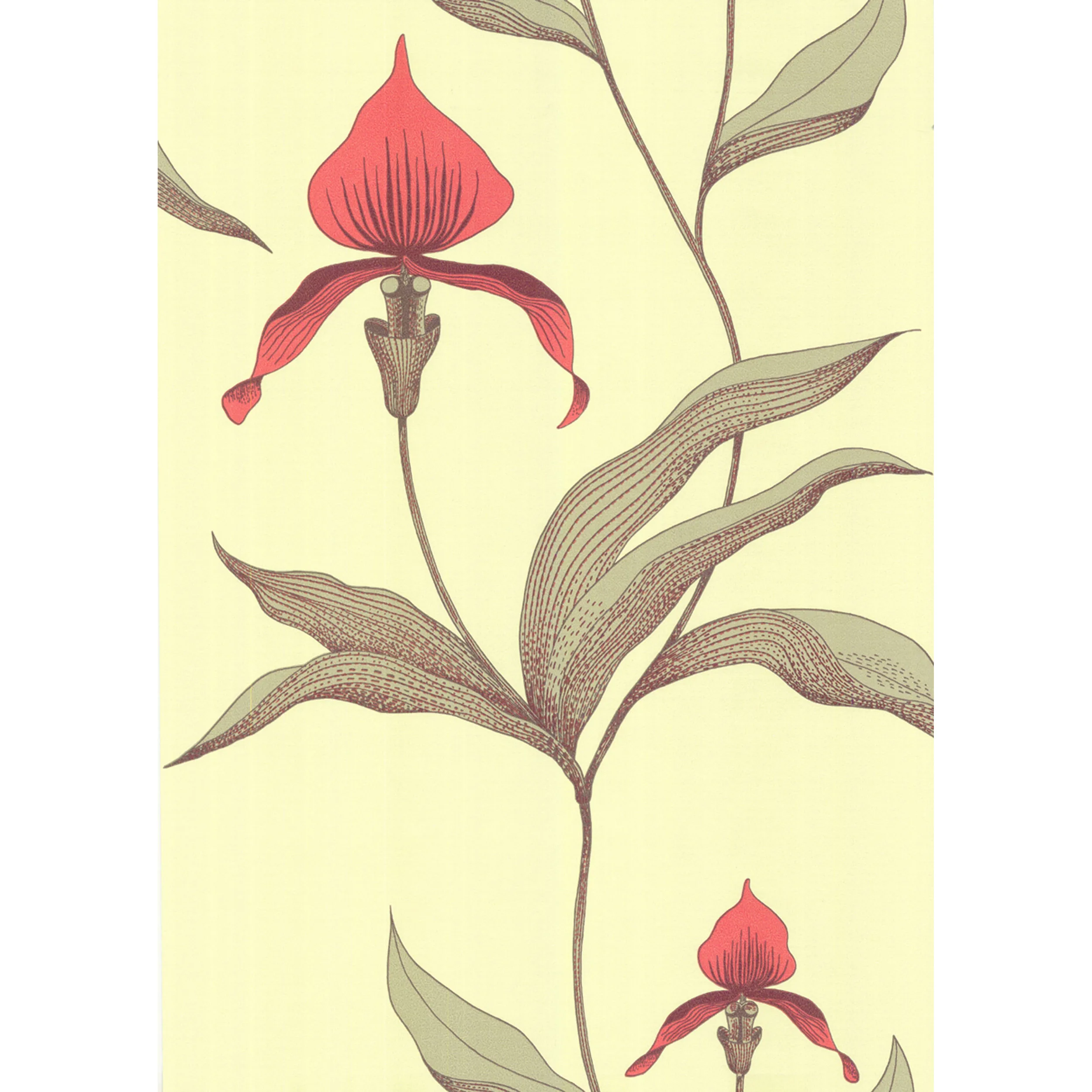 66/4033.CS.0 | Orchid – Lime/or
