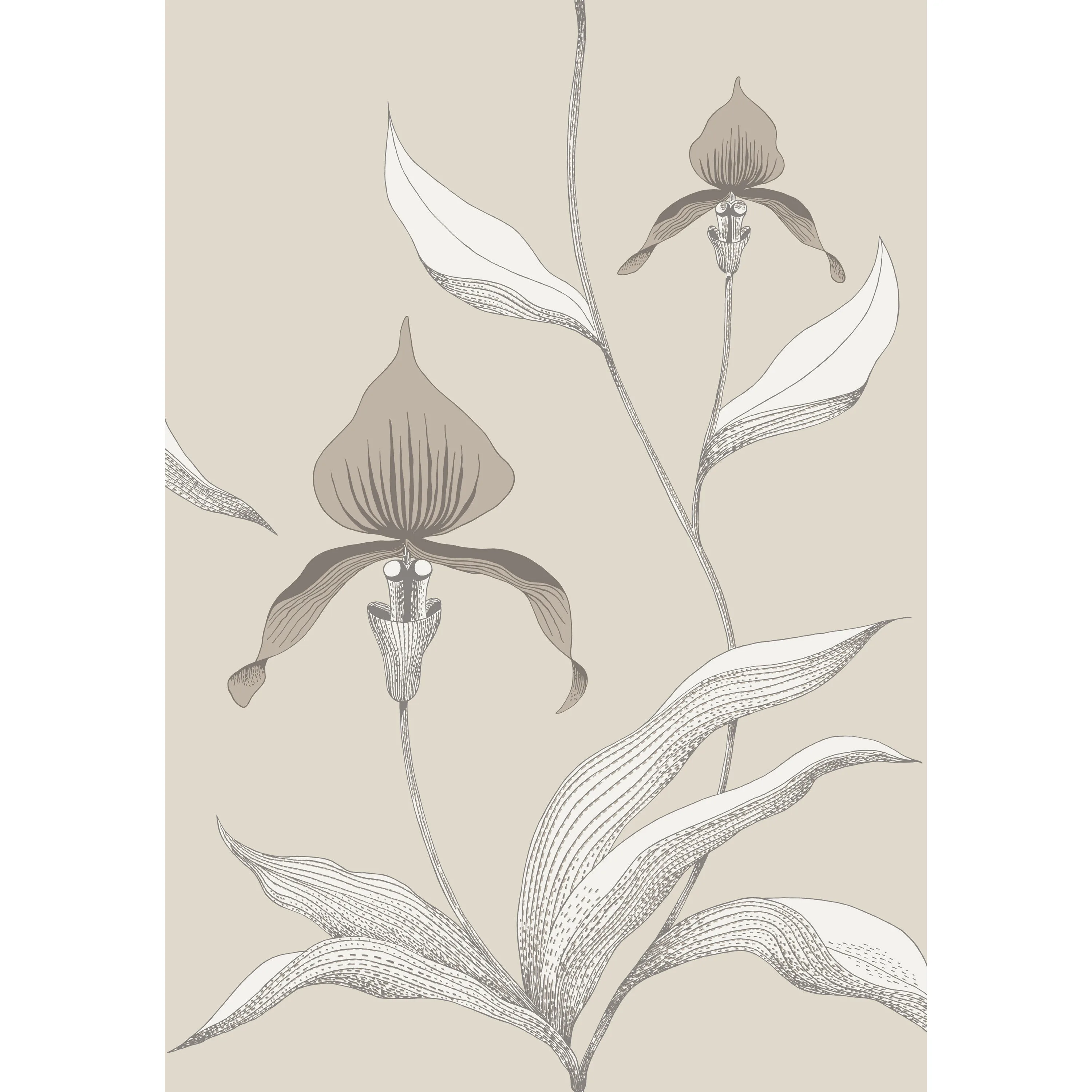 Cole & Son Orchid in Linen/White (95/10058.CS.0)