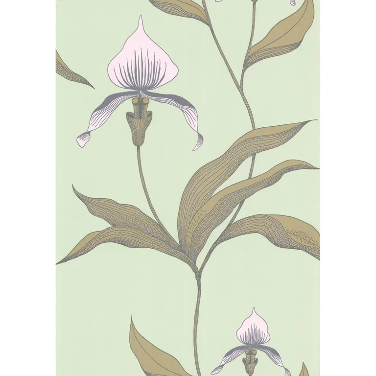 Cole & Son Orchid in Pale Gr (66/4028.CS.0)
