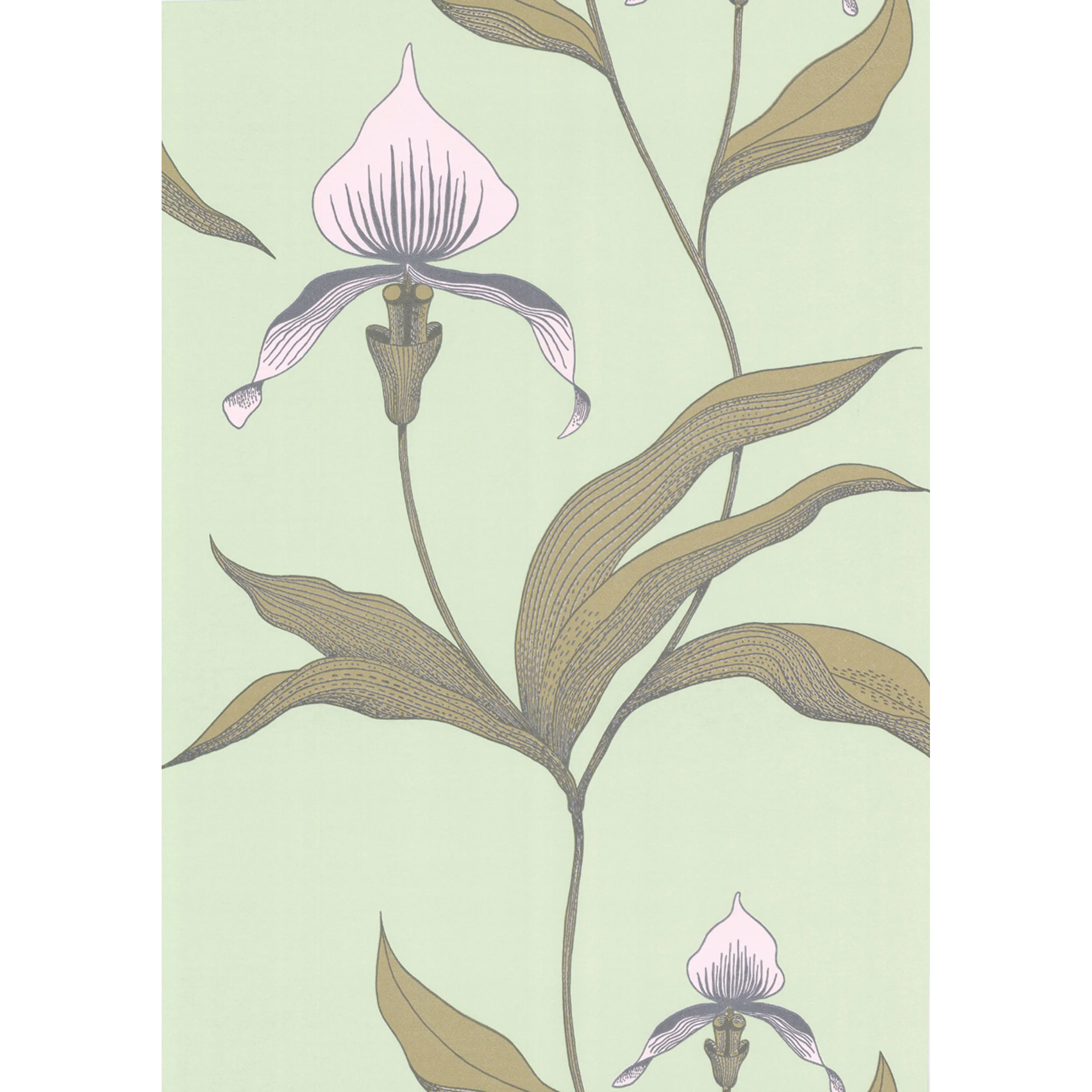 66/4028.CS.0 | Orchid – Pale Gr