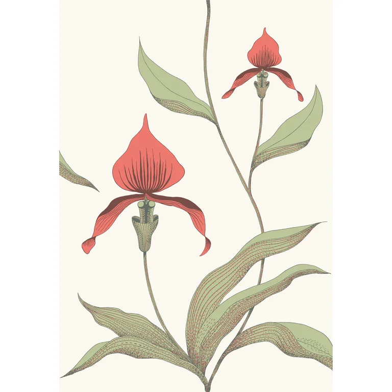 Cole & Son Orchid in Red/White (95/10054.CS.0)