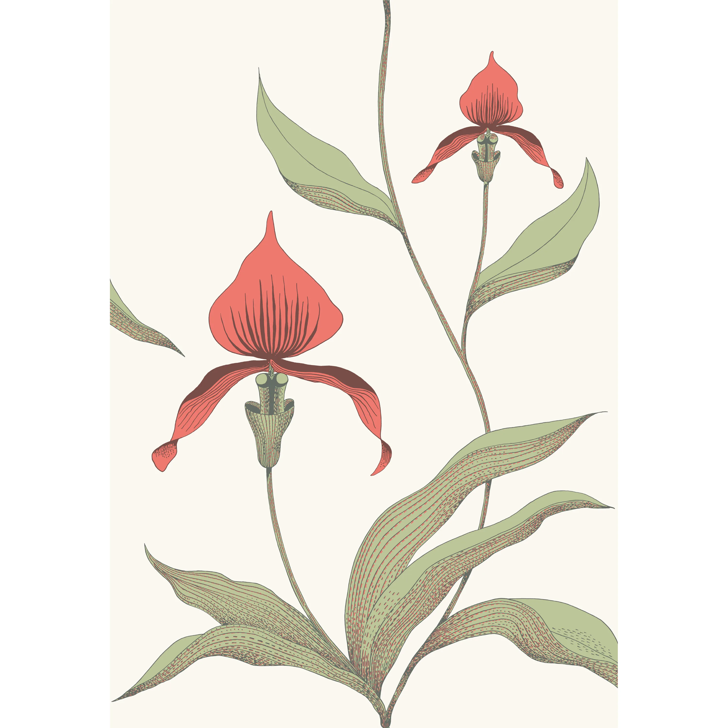 Cole & Son Orchid in Red/White (95/10054.CS.0)