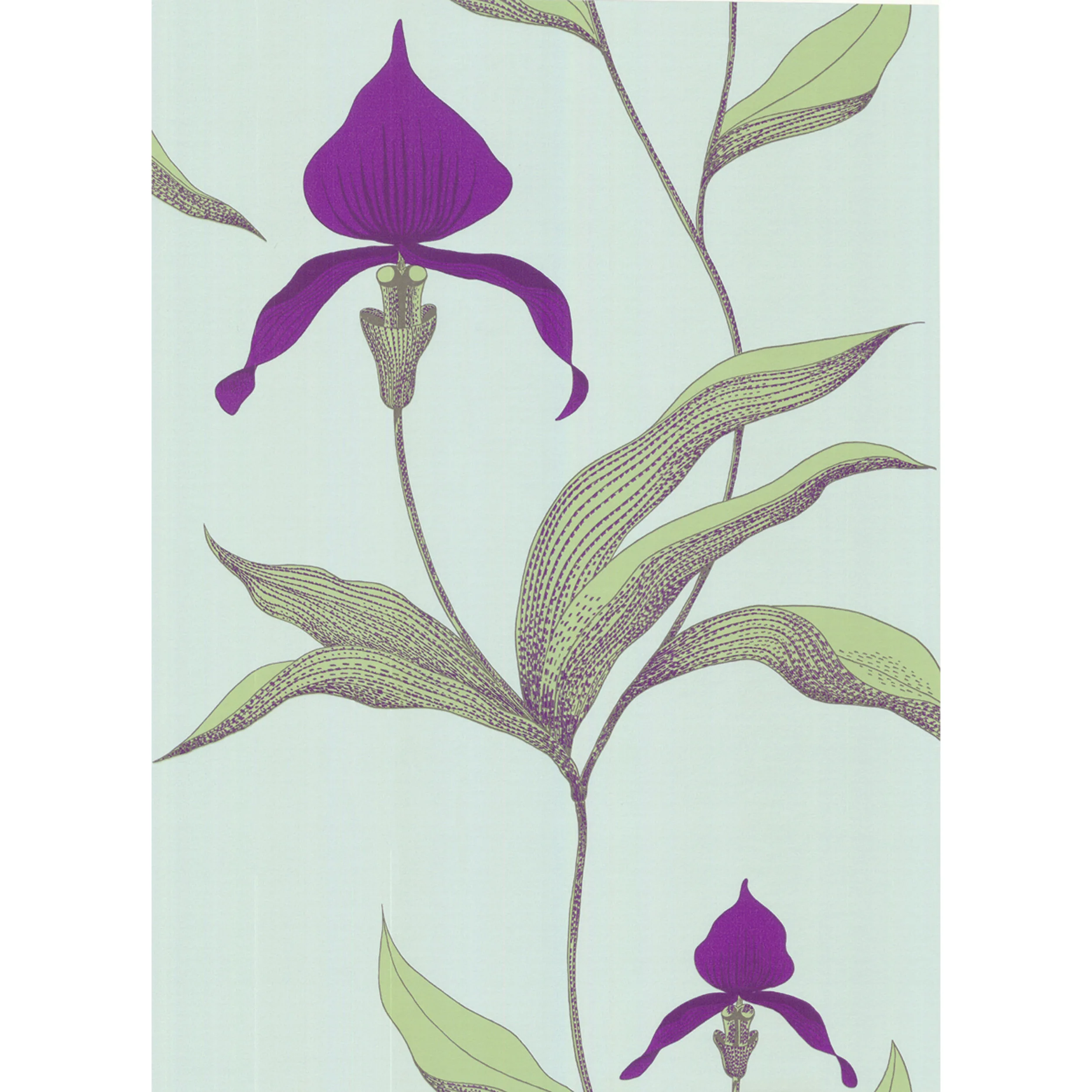 66/4027.CS.0 | Orchid – Turquoi