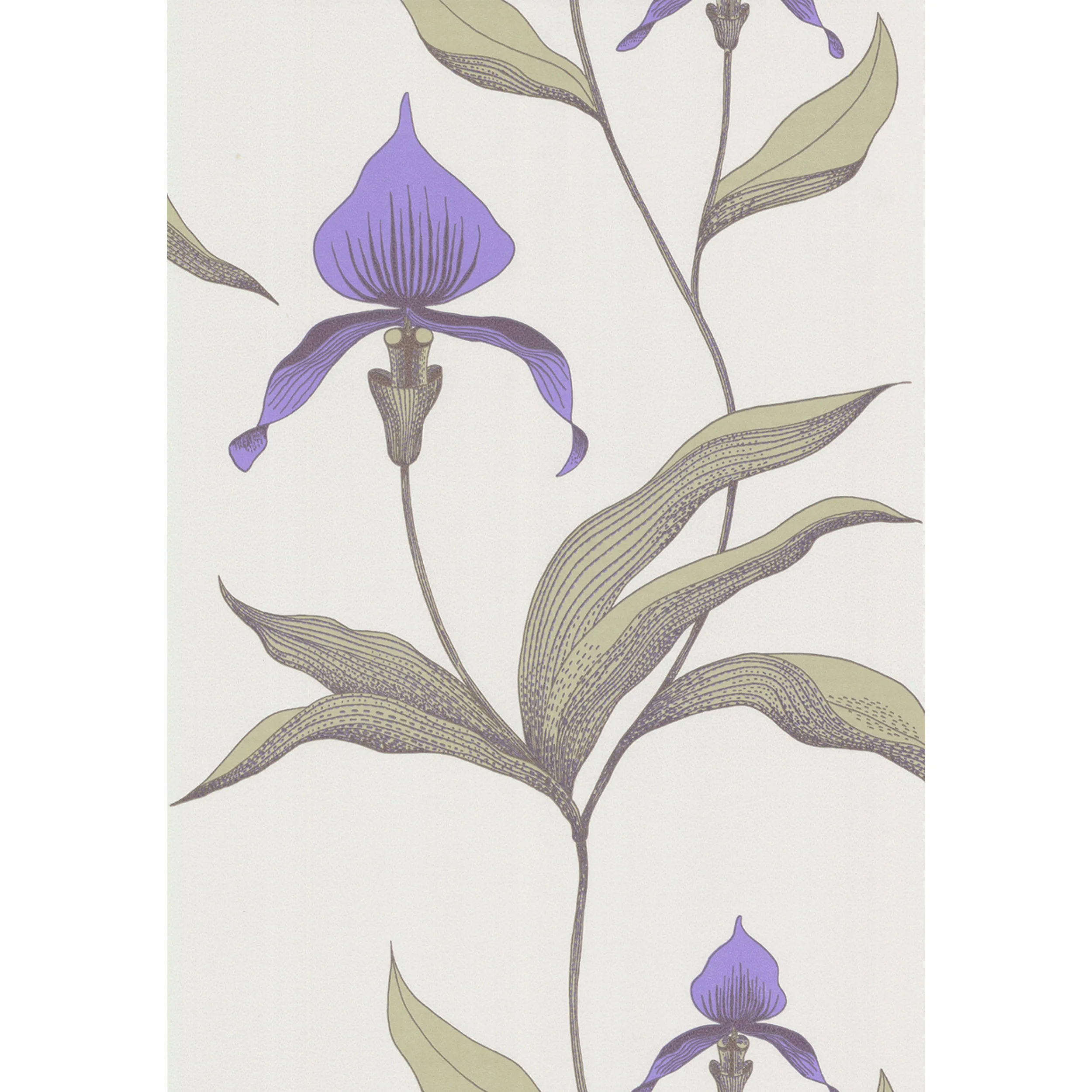 Cole & Son Orchid in White/M (66/4024.CS.0)
