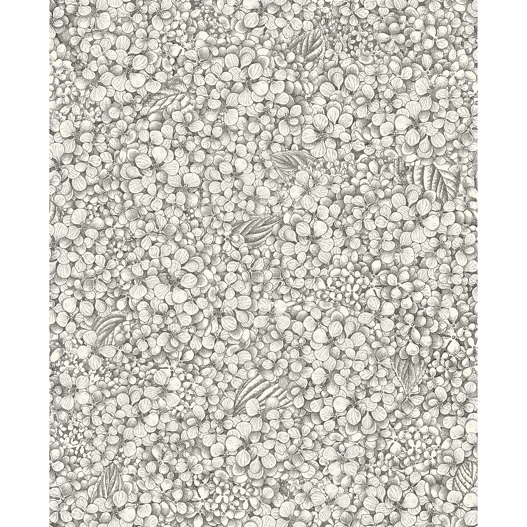 Cole & Son Ortensia in Black & White (123/9043.CS.0)