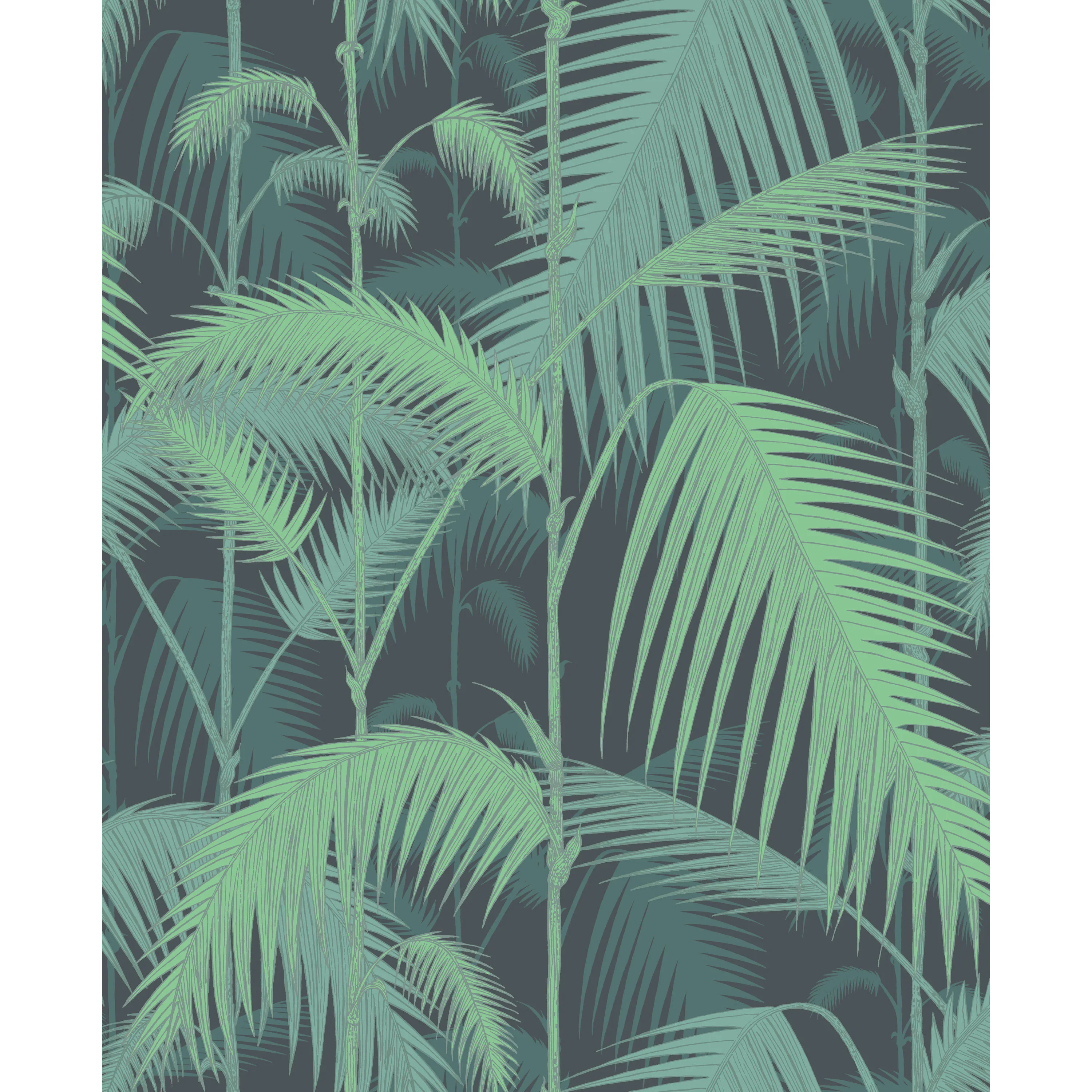Cole & Son Palm Jungle in Green/Black (95/1003.CS.0)