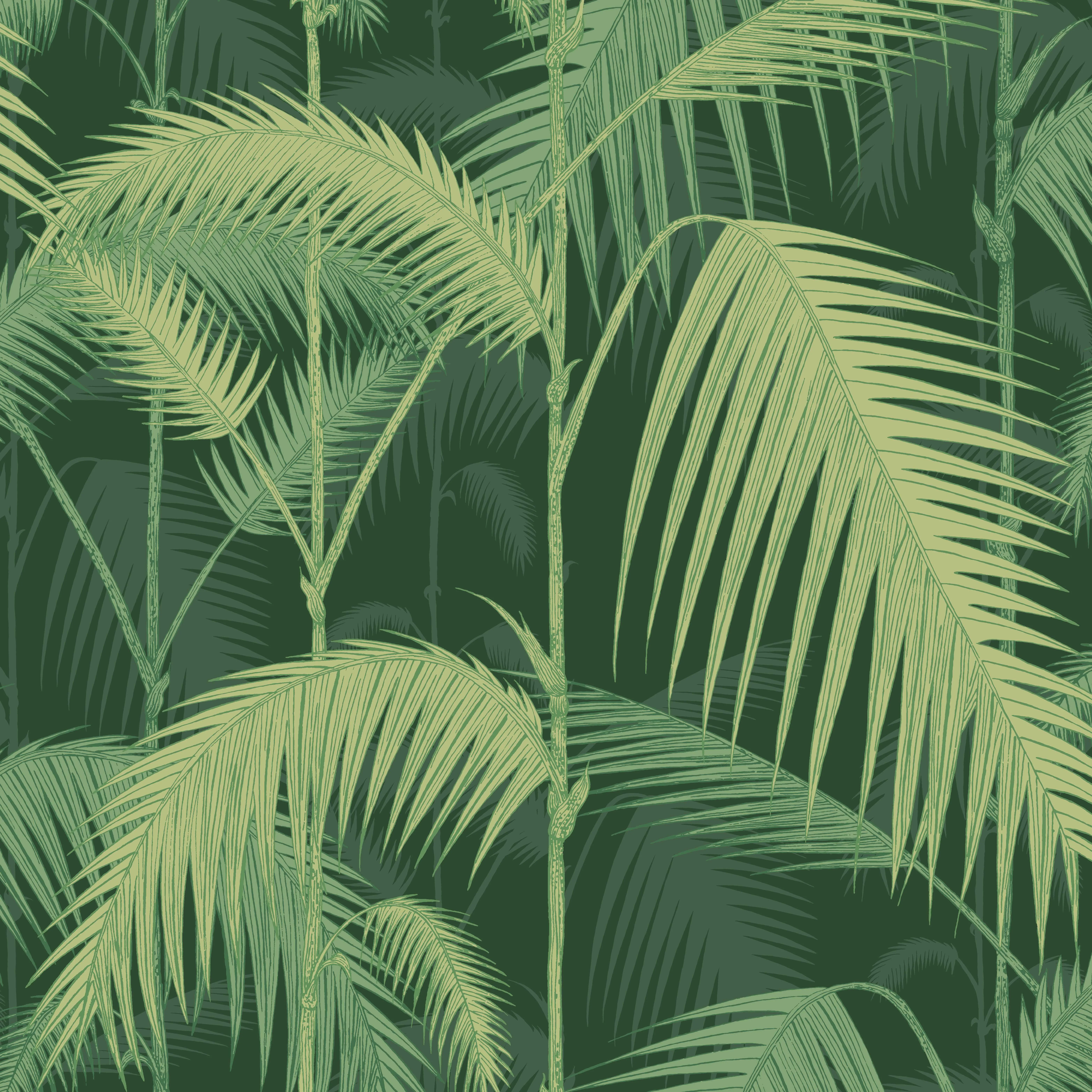 Cole & Son Palm Jungle in Leaf Green (112/1003.CS.0)