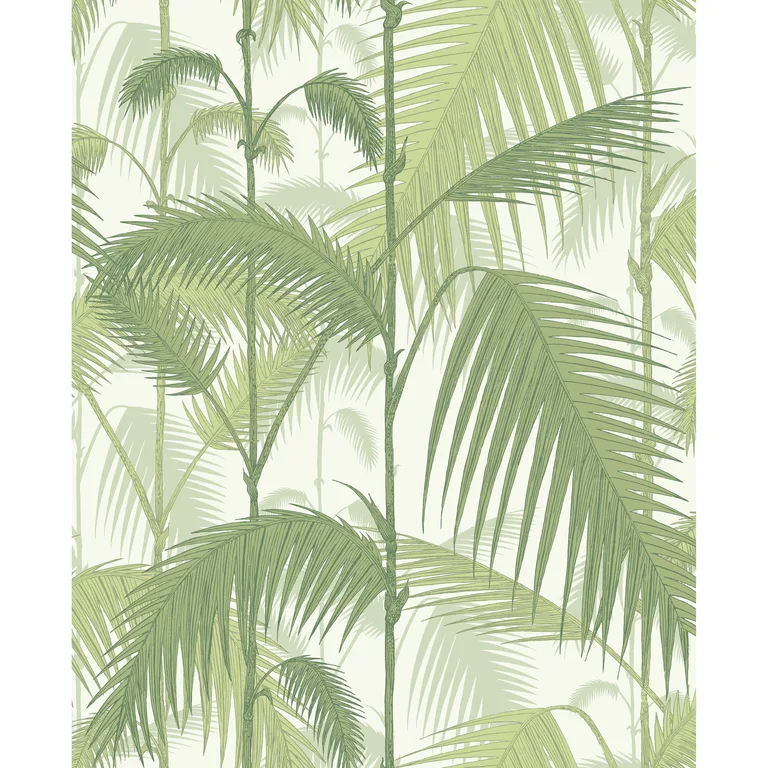 Cole & Son Palm Jungle in Olive Gre/White (95/1001.CS.0)
