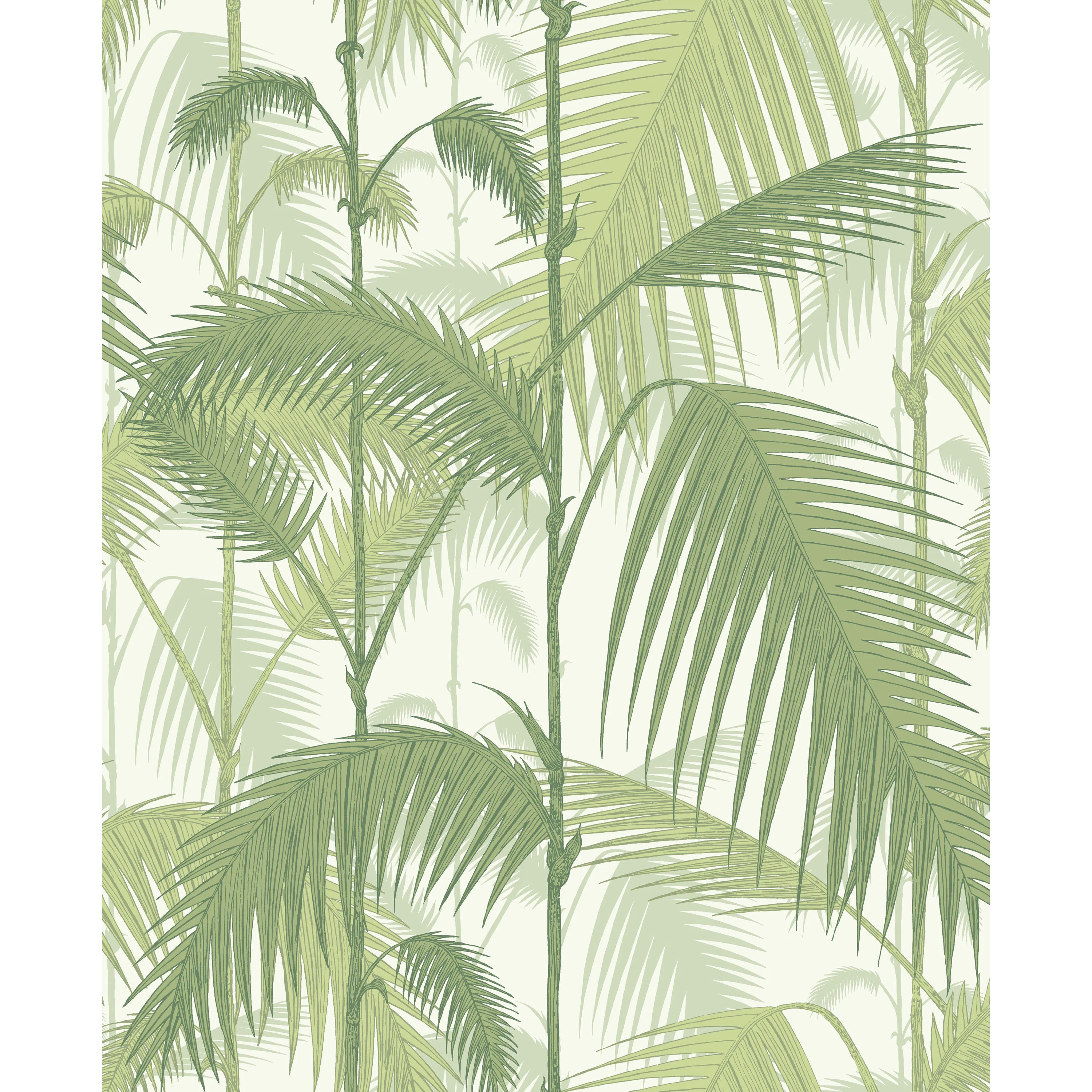 Cole & Son Palm Jungle in Olive Gre/White (95/1001.CS.0)