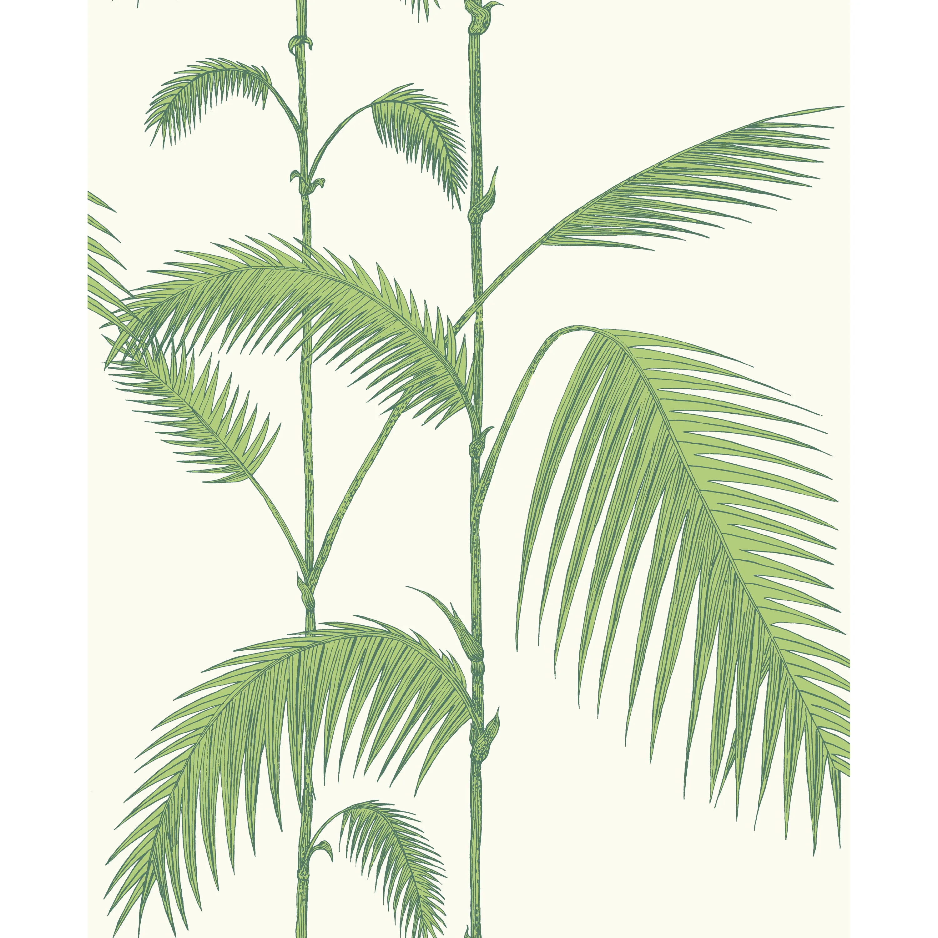 Cole & Son Palm Leaves in Green/White (95/1009.CS.0)