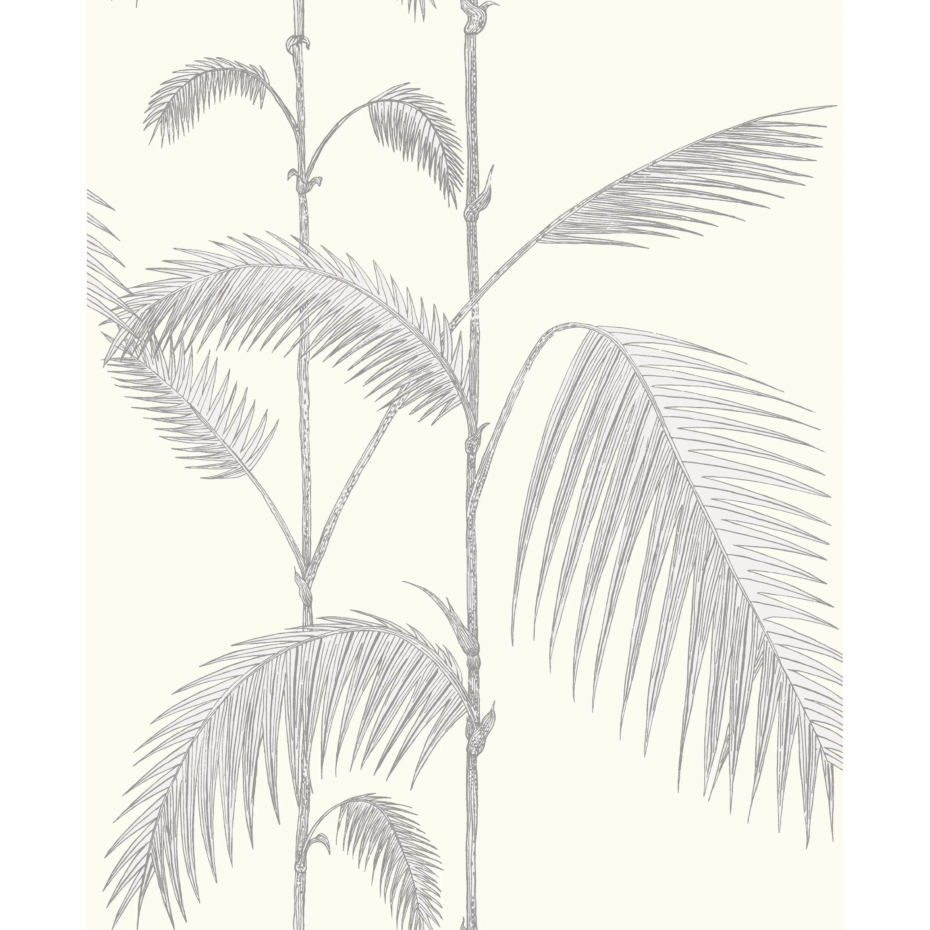 Cole & Son Palm Leaves in Grey/White (95/1008.CS.0)