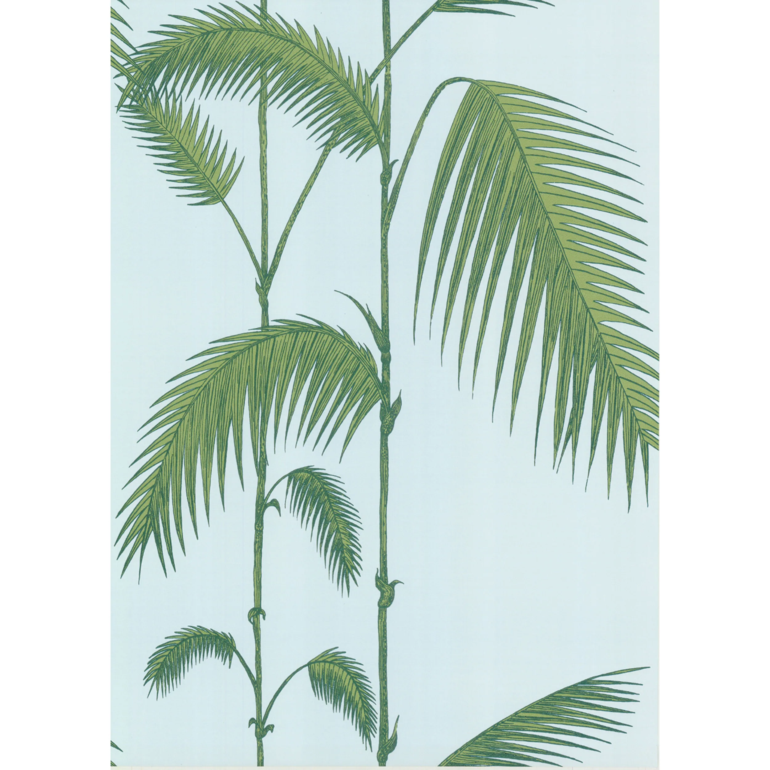 Cole & Son Palm Leaves in Pale Bl (66/2010.CS.0)