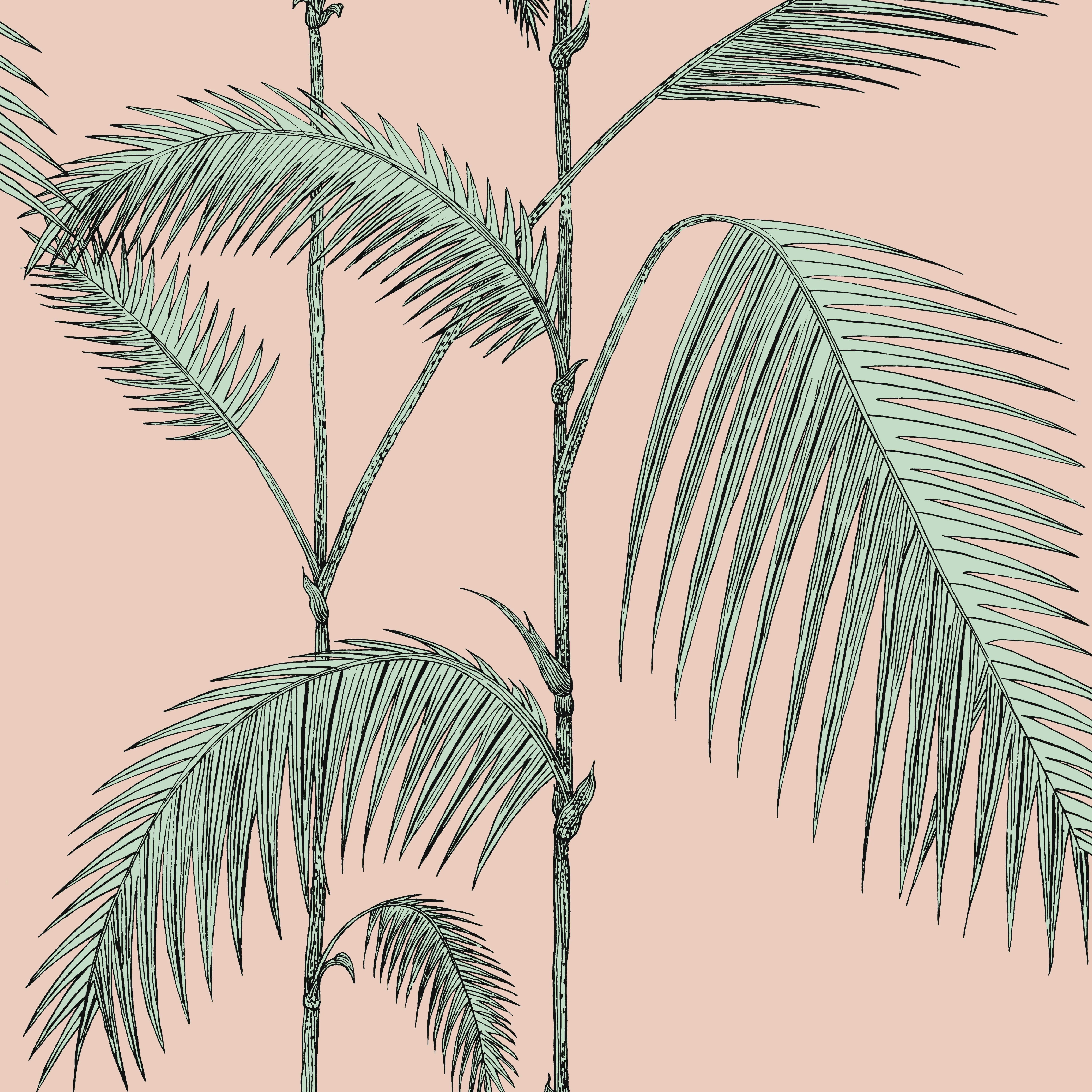 Cole & Son Palm Leaves in Plaster Pink/Mint (112/2005.CS.0)