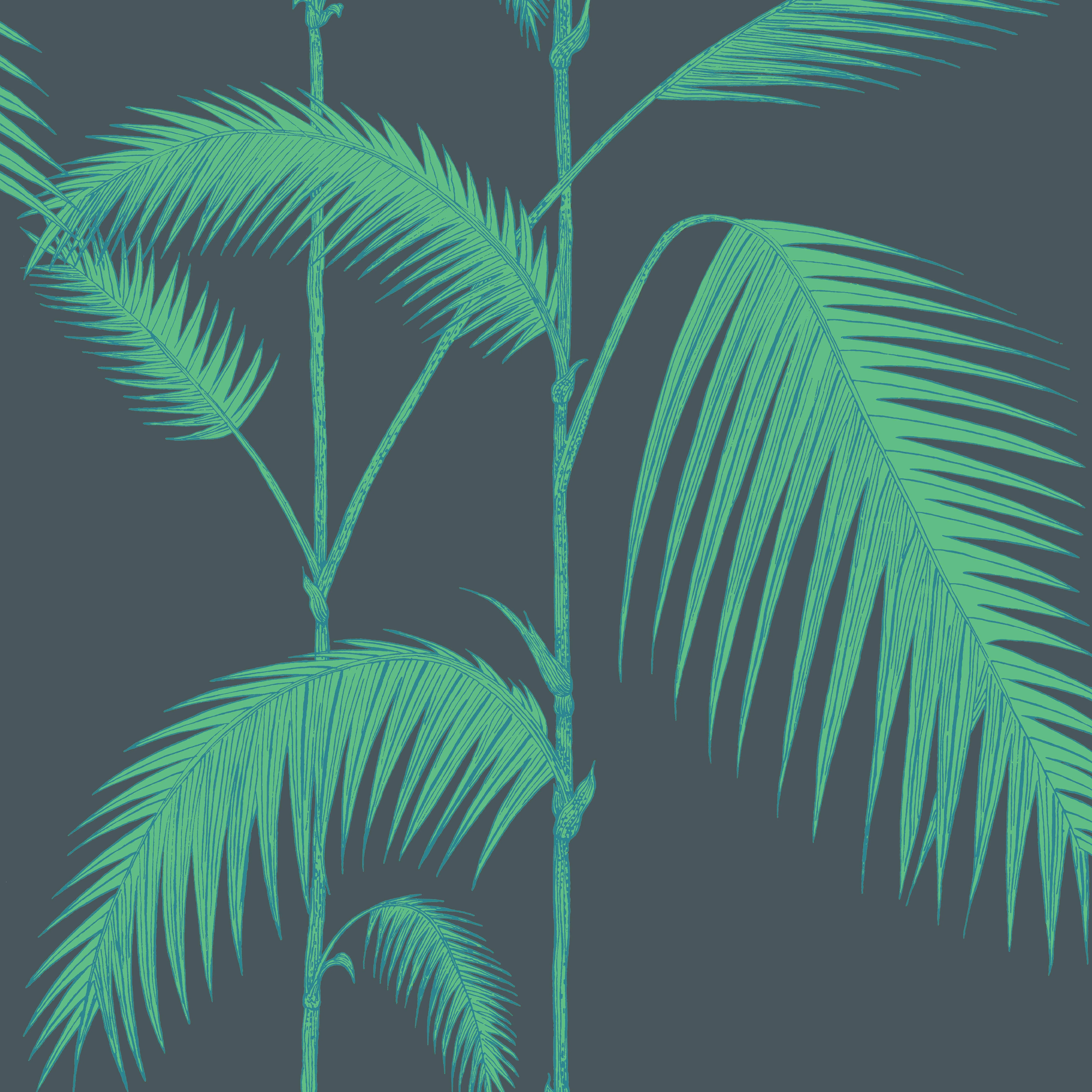 Cole & Son Palm Leaves in Viridian (112/2007.CS.0)