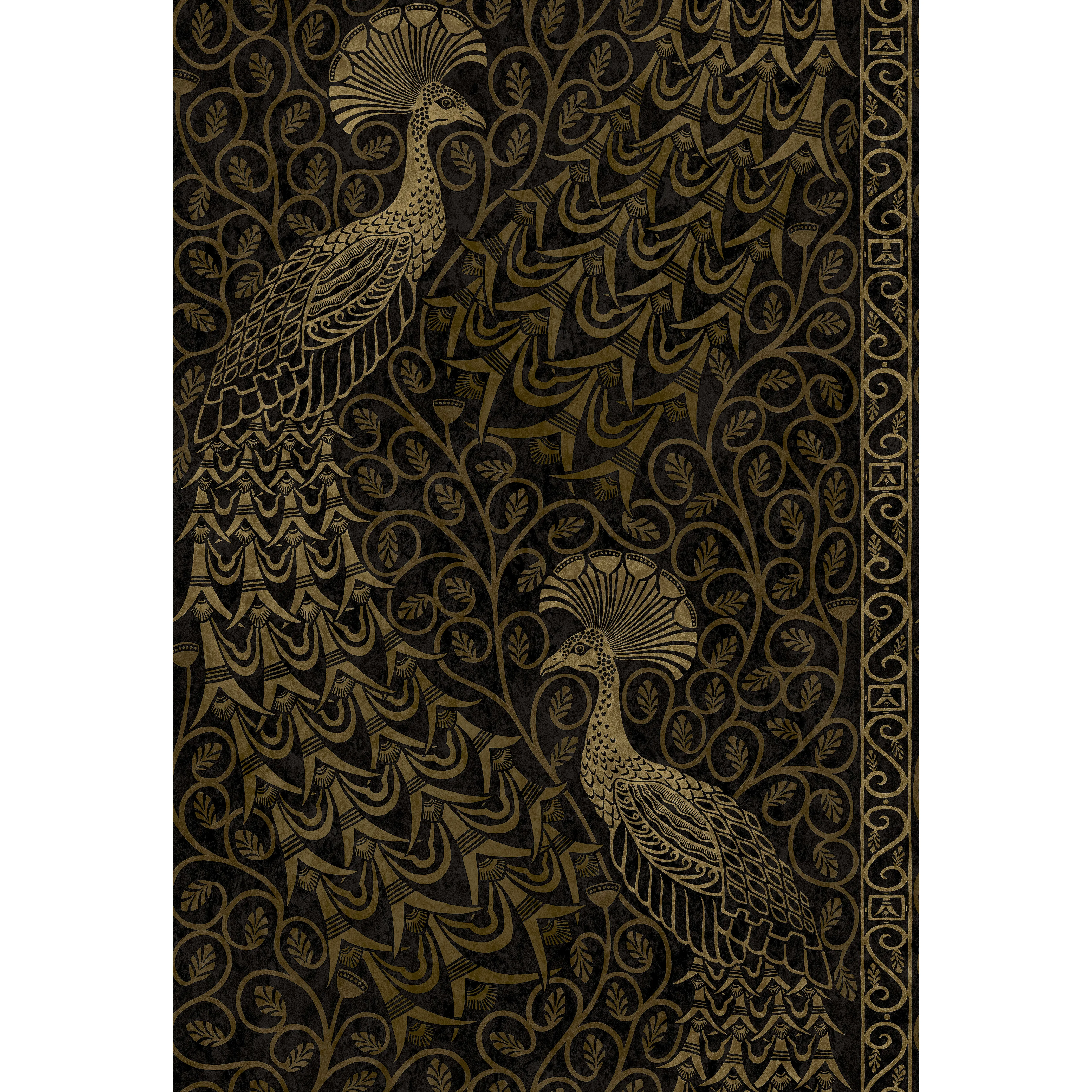 Cole & Son Pavo Parade in M Gold/Soot (116/8032.CS.0)