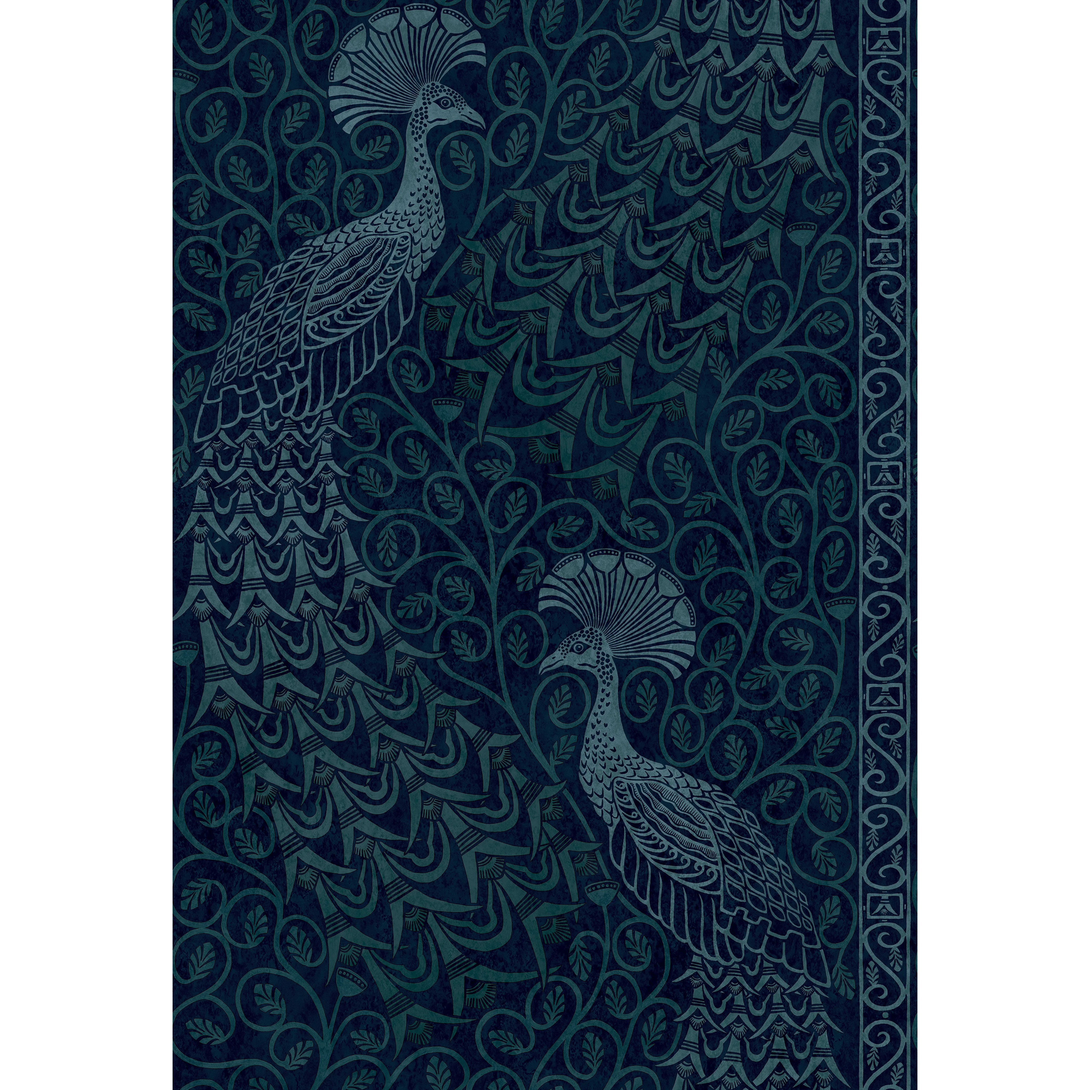Cole & Son Pavo Parade in M Petrol/Ink (116/8028.CS.0)