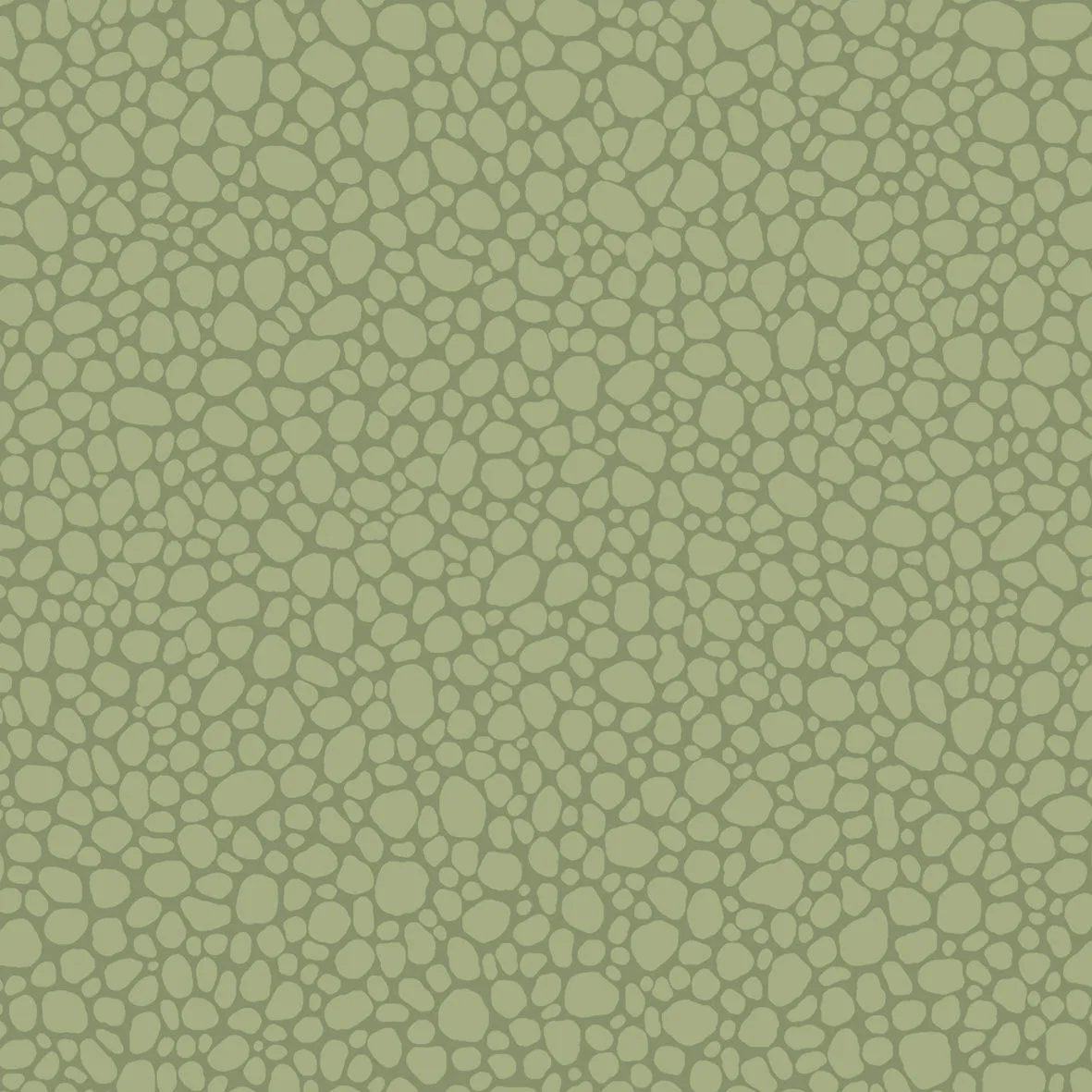 Cole & Son Pebble in Dark Olive (106/2026.CS.0)