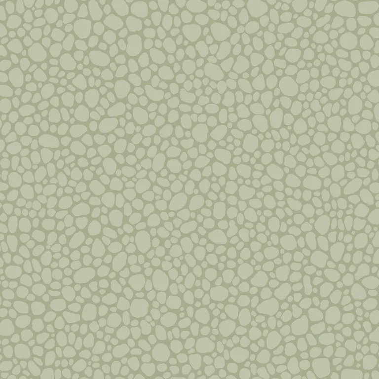 Cole & Son Pebble in Sage (106/2027.CS.0)