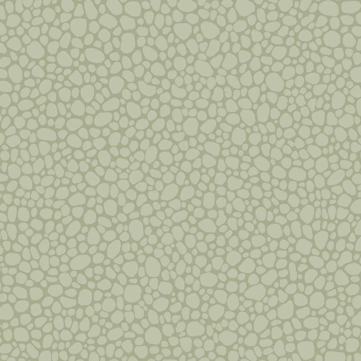 Cole & Son Pebble in Sage (106/2027.CS.0)