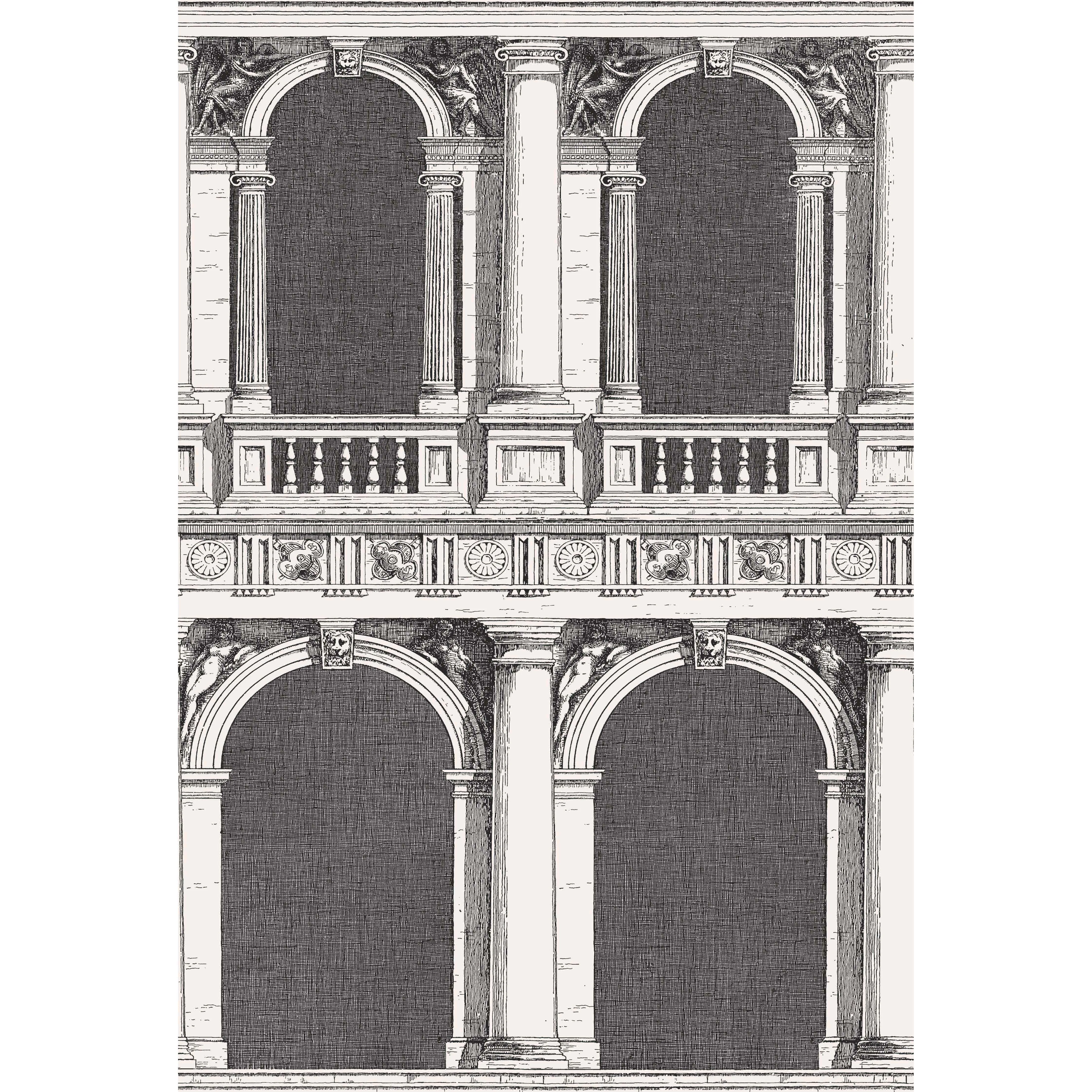 Cole & Son Procuratie in Black/White (114/22042.CS.0)