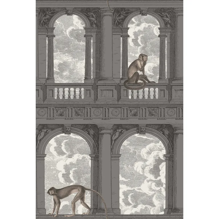 Cole & Son Procuratie Con Vista in Soot & Snow (114/8016.CS.0)