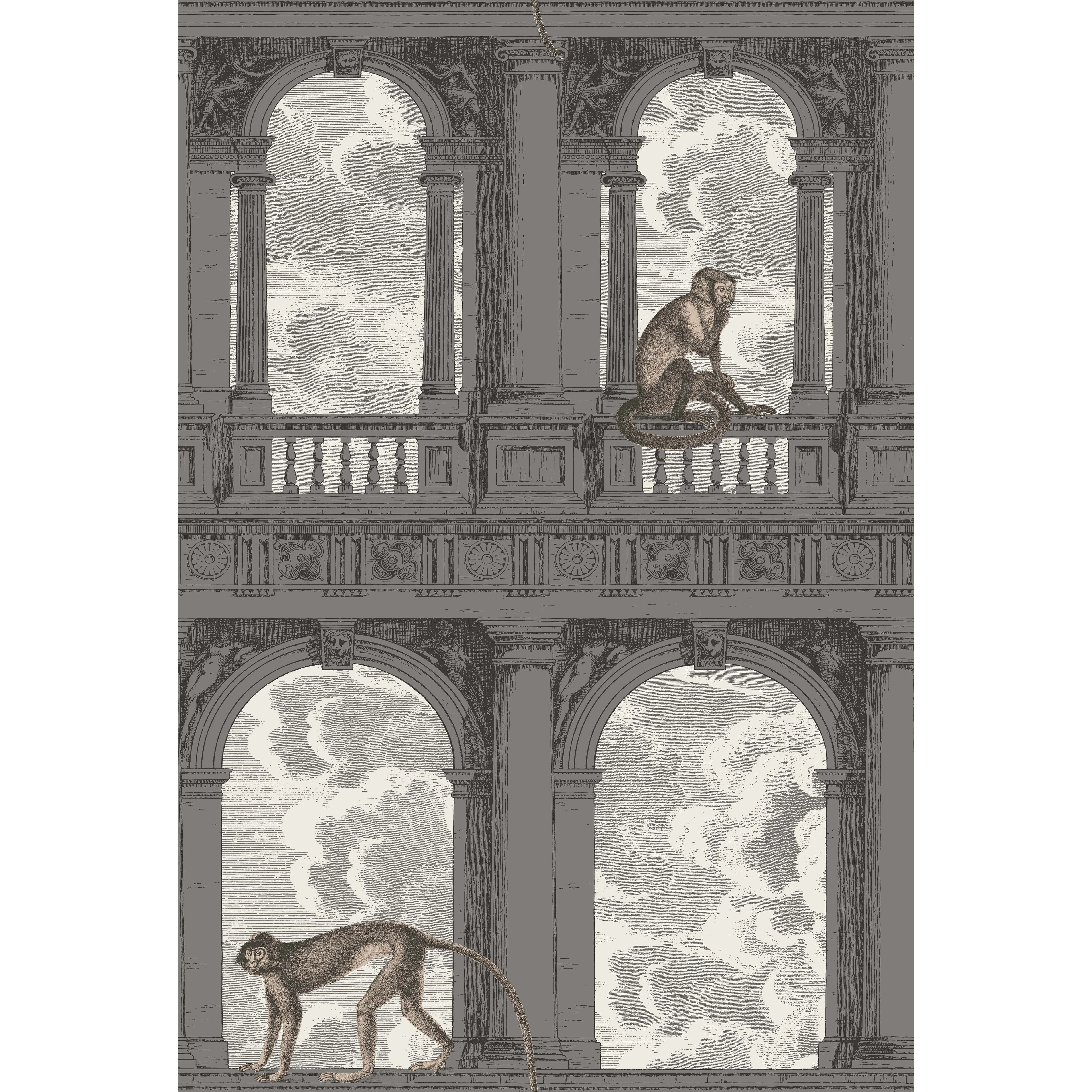 Cole & Son Procuratie Con Vista in Soot & Snow (114/8016.CS.0)