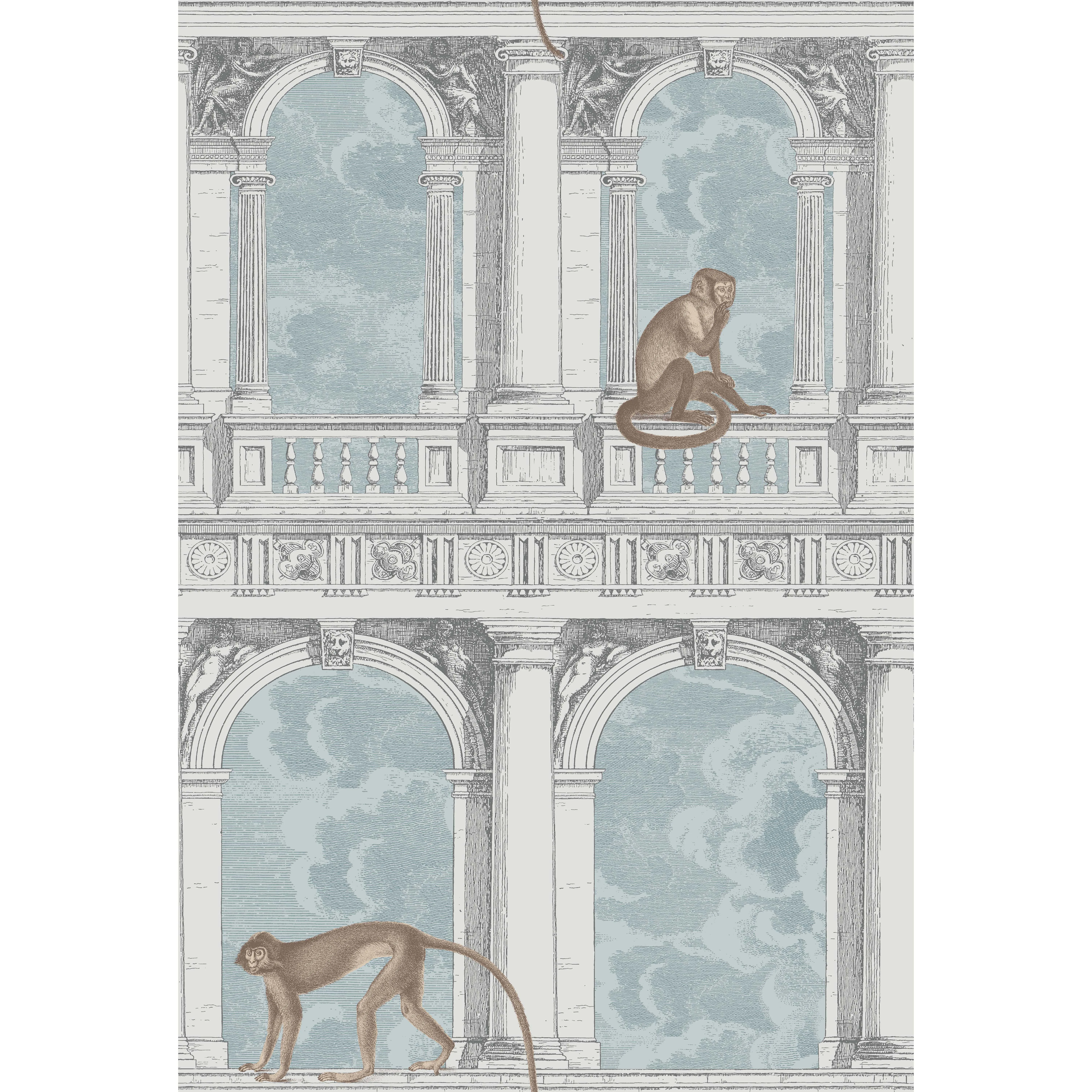 Cole & Son Procuratie Con Vista in Stone & Powder Blue (114/8015.CS.0)