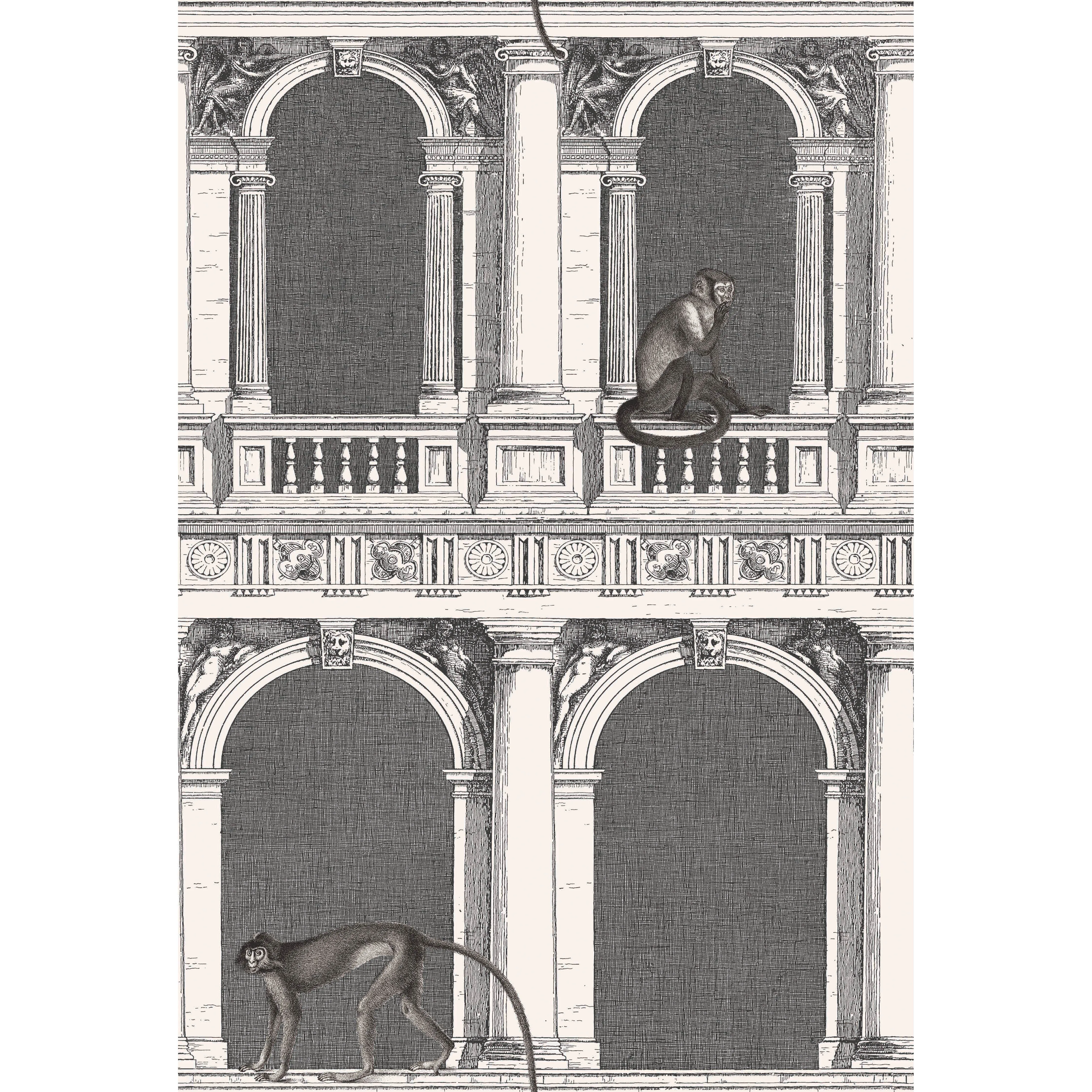 Cole & Son Procuratie E Scimmie in B/W (114/21041.CS.0)