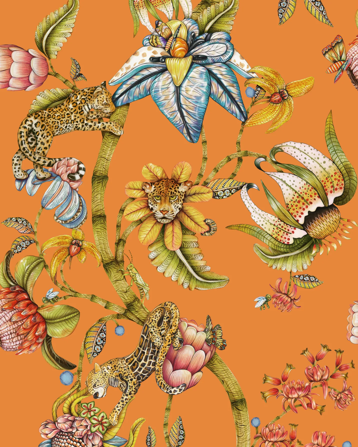 129/6022.CS.0 | Protea Panthera – Clementine