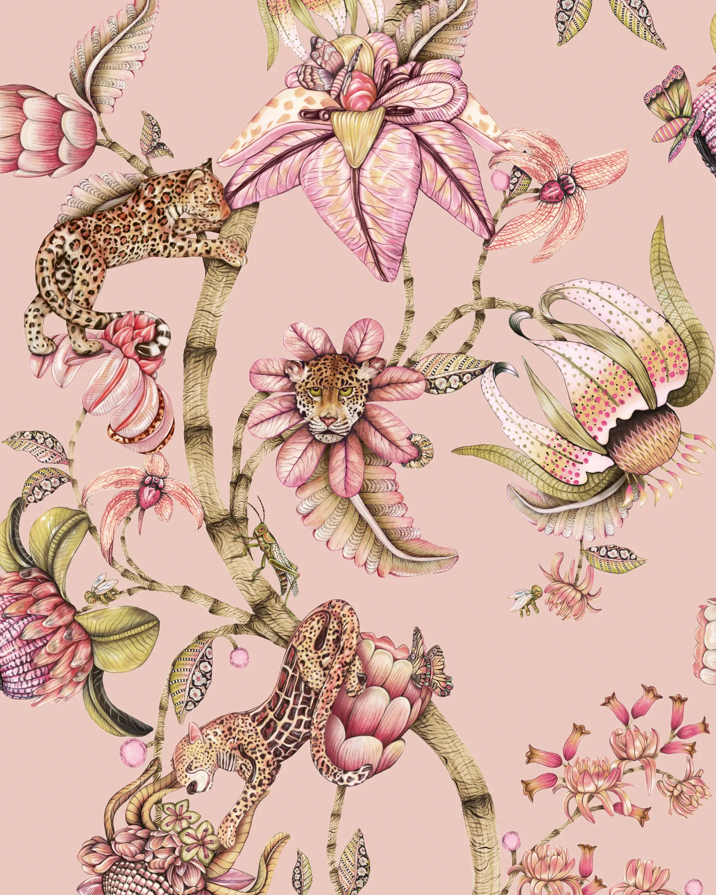 129/6024.CS.0 | Protea Panthera – Rs Quartz