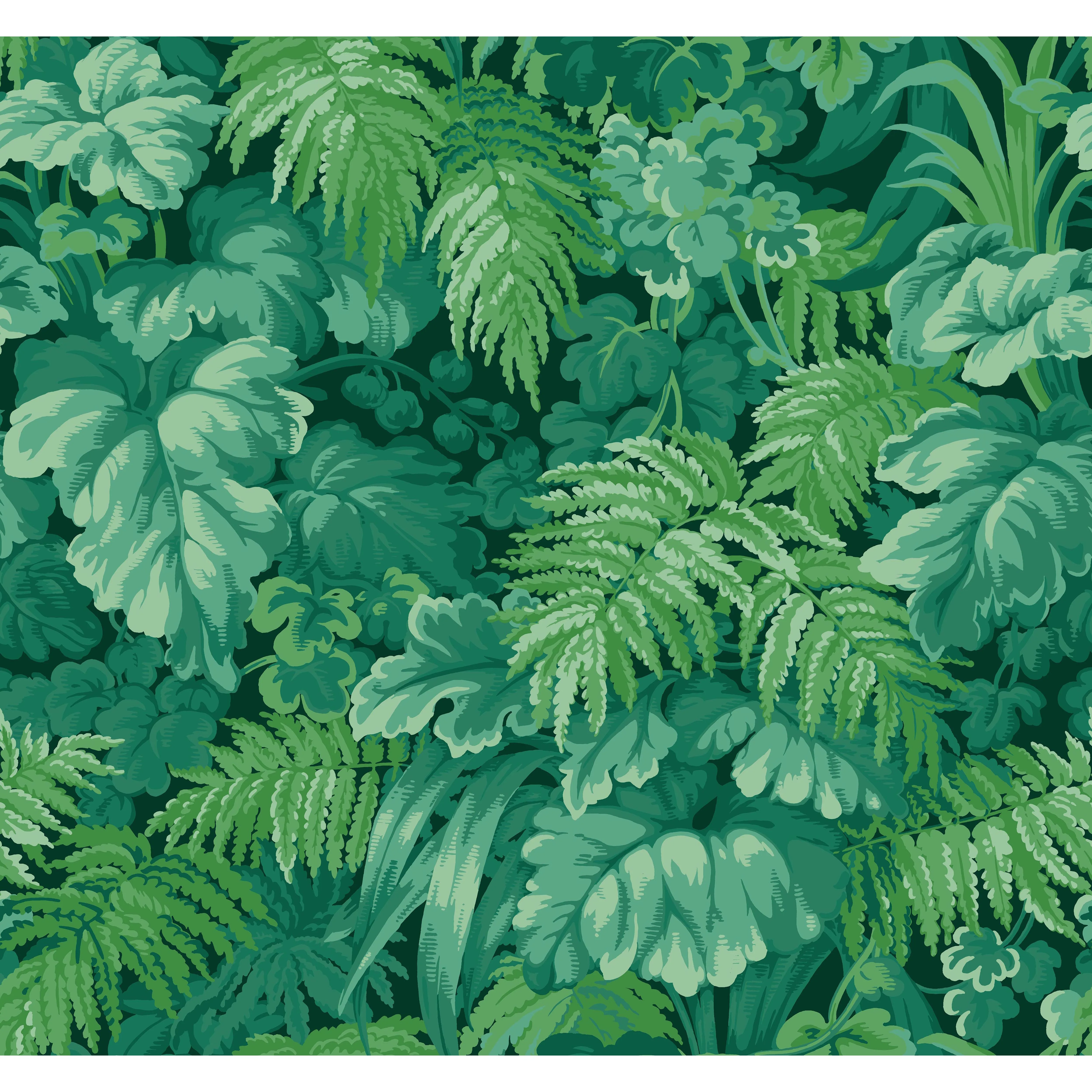 Cole & Son Royal Fernery in Forest Green (113/3009.CS.0)