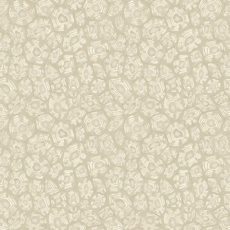 Cole & Son Savanna Shell in Parchment (119/4021.CS.0)