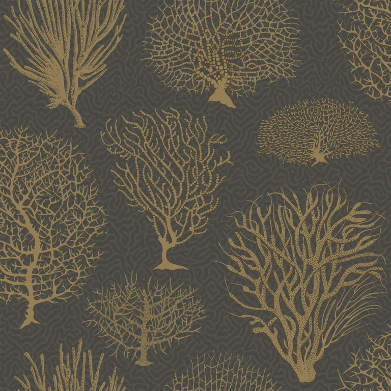 Cole & Son Seafern in Black & Gold (107/2006.CS.0)