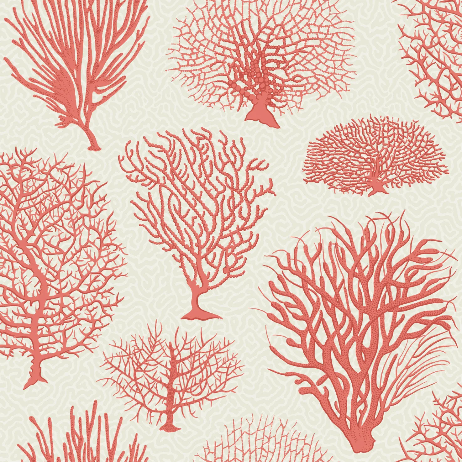 Cole & Son Seafern in Coral (107/2011.CS.0)