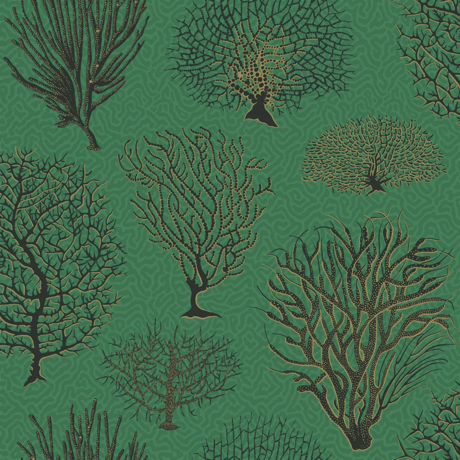 Cole & Son Seafern in Emerald (107/2007.CS.0)