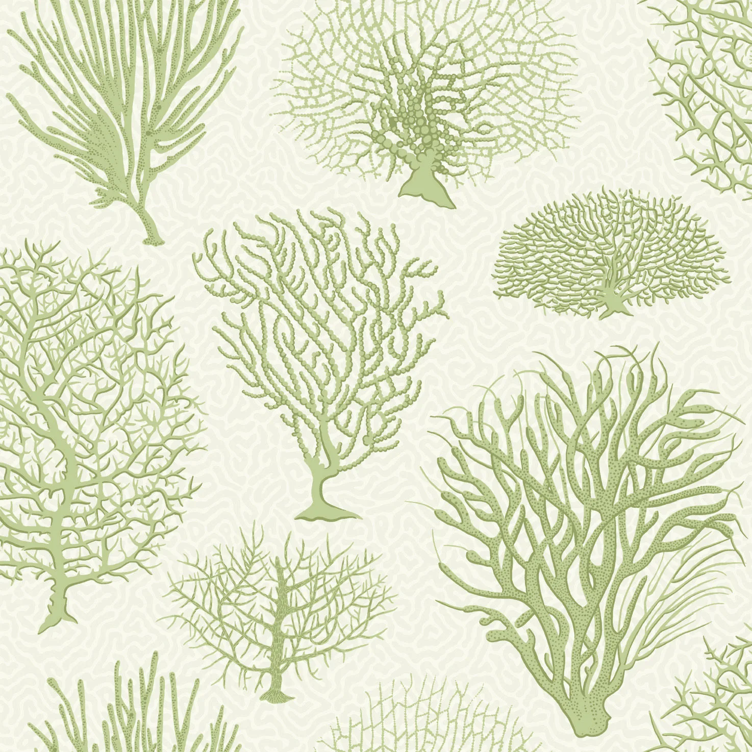 Cole & Son Seafern in Soft Green (107/2008.CS.0)