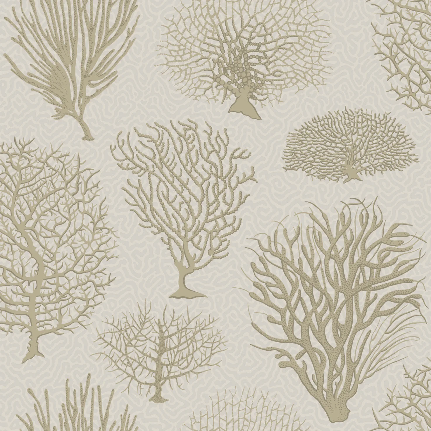 Cole & Son Seafern in Stone (107/2010.CS.0)