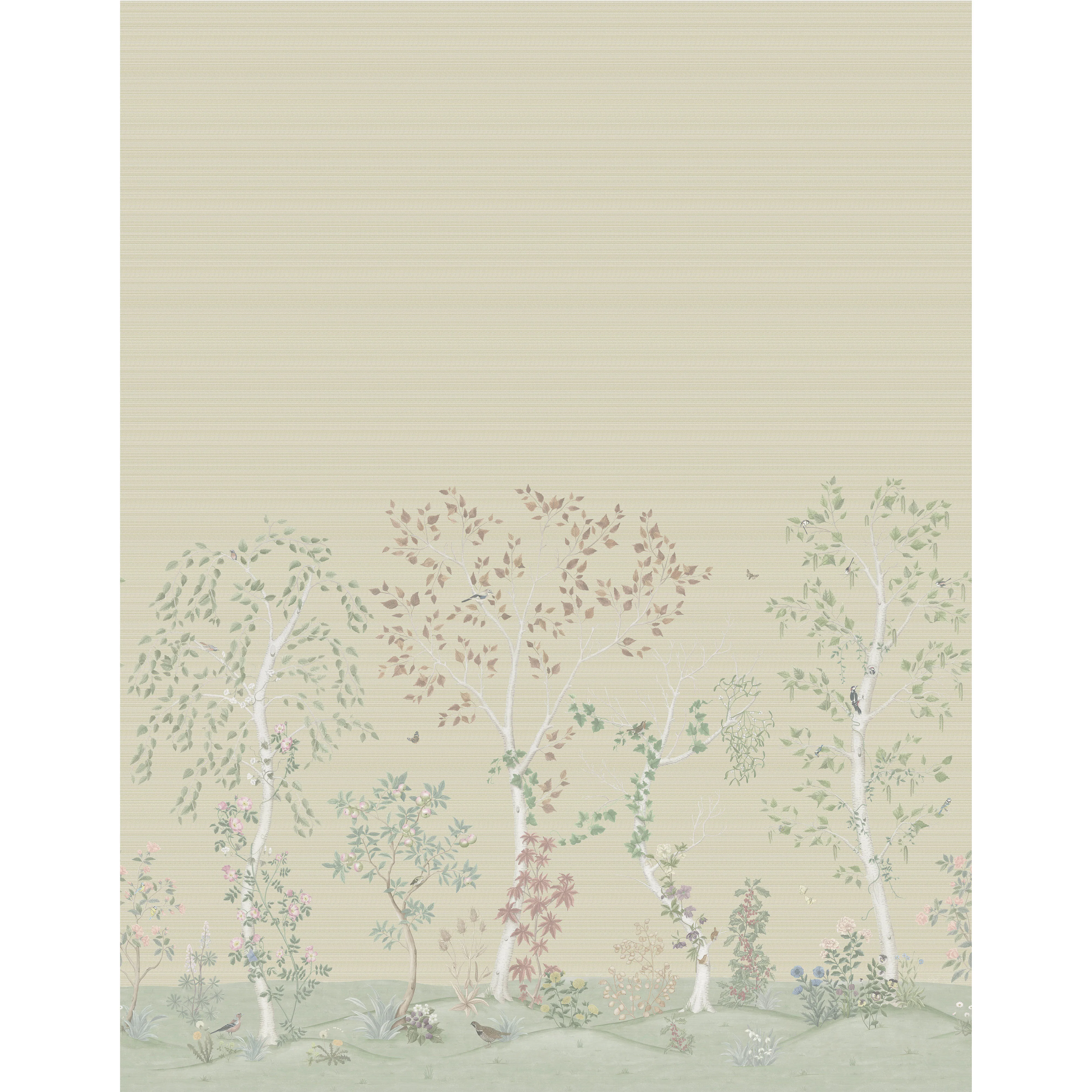 Cole & Son Seasonal Woods Grasscloth in Oat Natural (120/6019G.CS.0)
