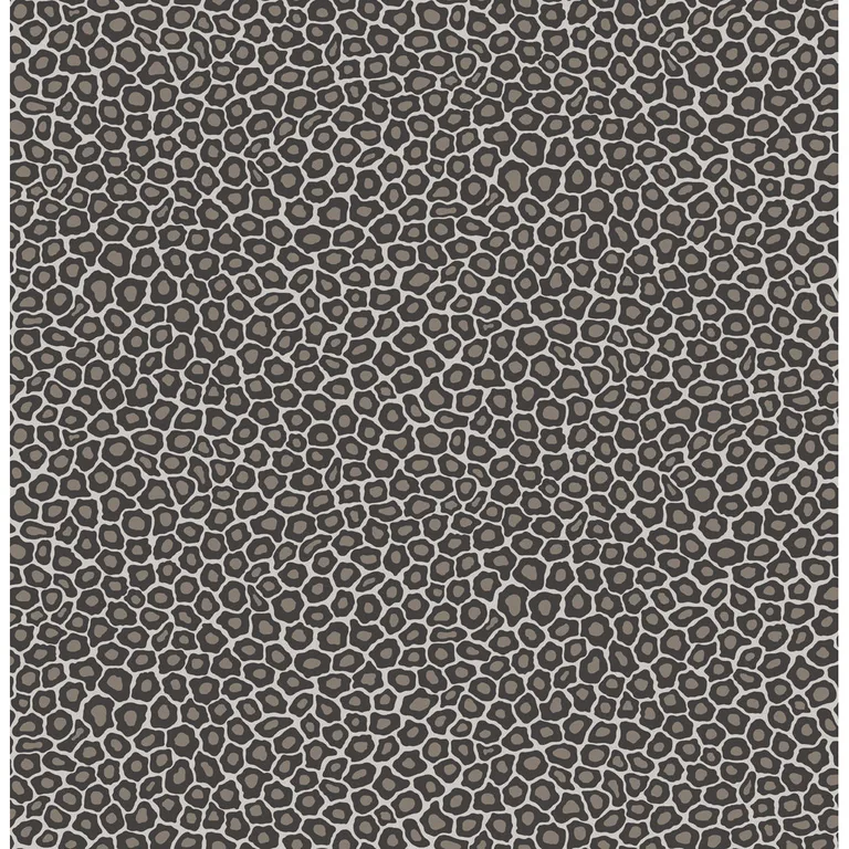 Cole & Son Senzo Spot in Black & White (109/6031.CS.0)