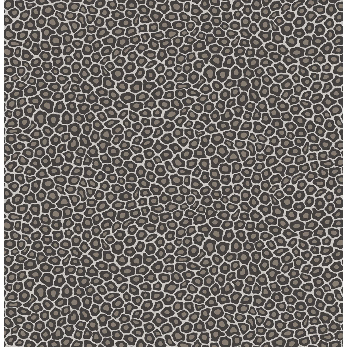 Cole & Son Senzo Spot in Black & White (109/6031.CS.0)