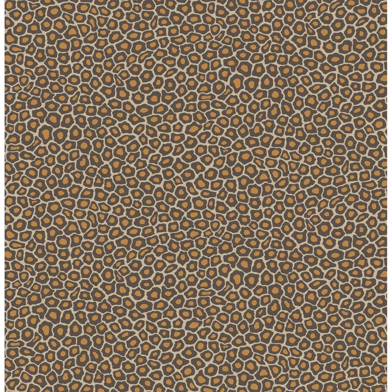 Cole & Son Senzo Spot in Brown & Gold (109/6027.CS.0)