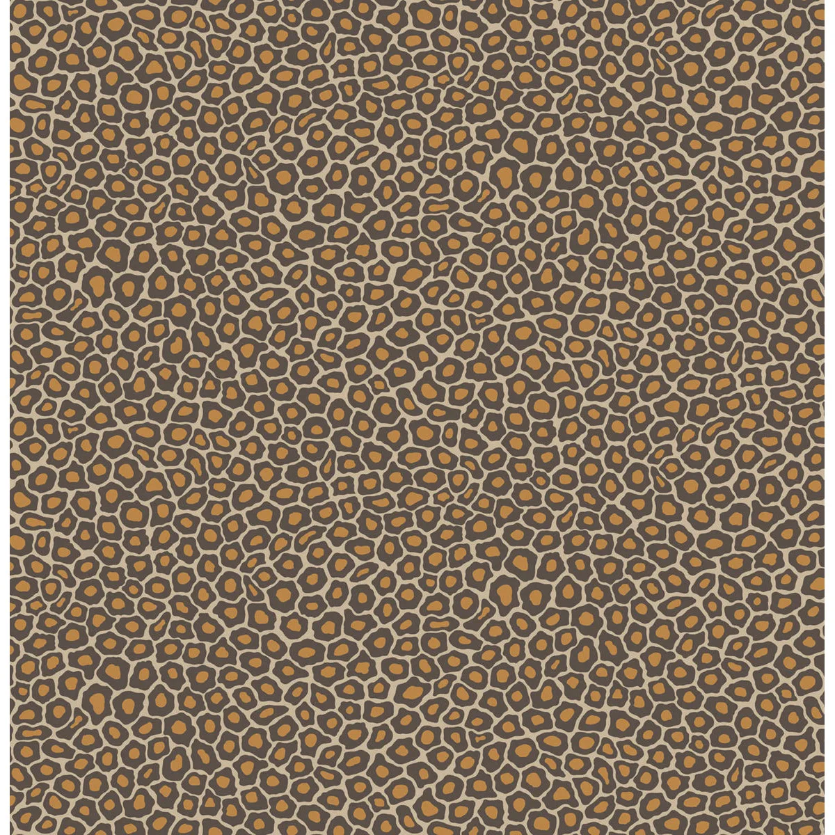 Cole & Son Senzo Spot in Brown & Gold (109/6027.CS.0)