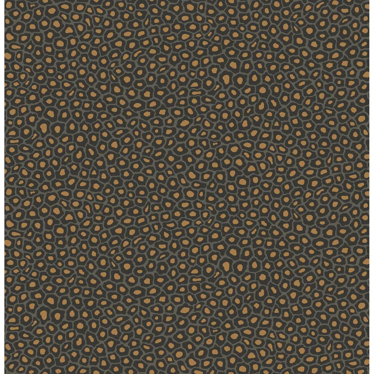 Cole & Son Senzo Spot in Charcoal (109/6032.CS.0)