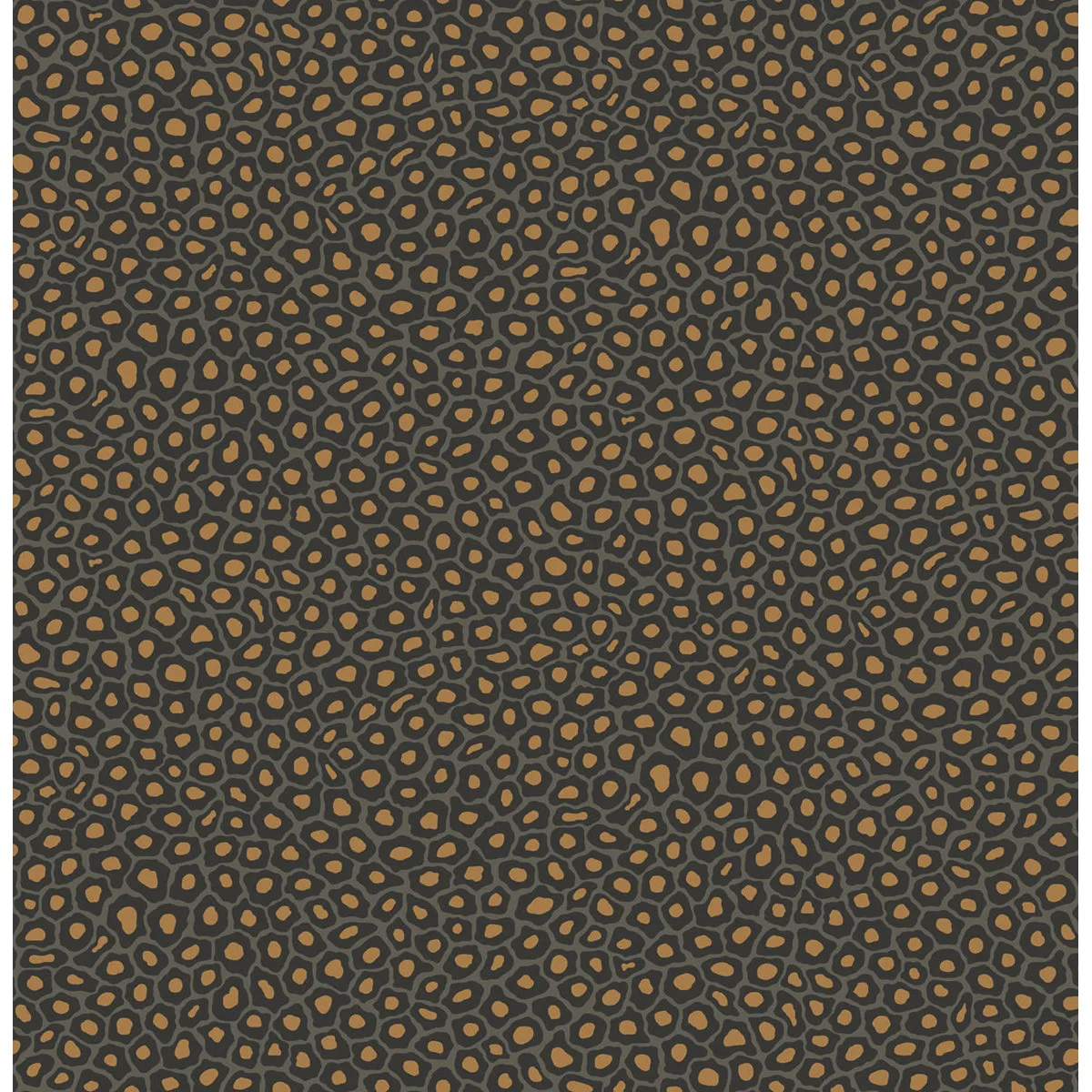 Cole & Son Senzo Spot in Charcoal (109/6032.CS.0)