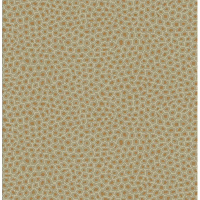 Cole & Son Senzo Spot in Olive (109/6029.CS.0)