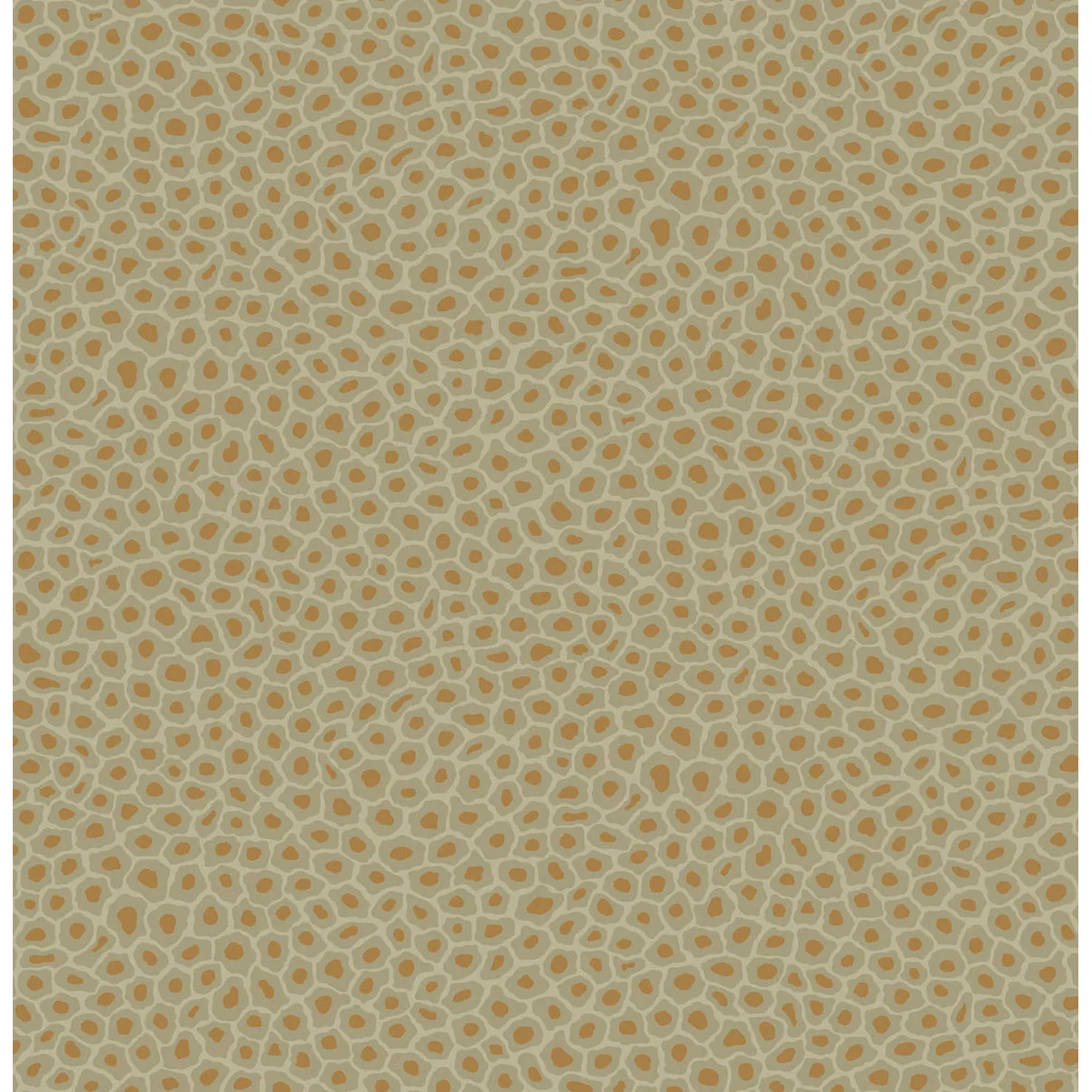 Cole & Son Senzo Spot in Olive (109/6029.CS.0)