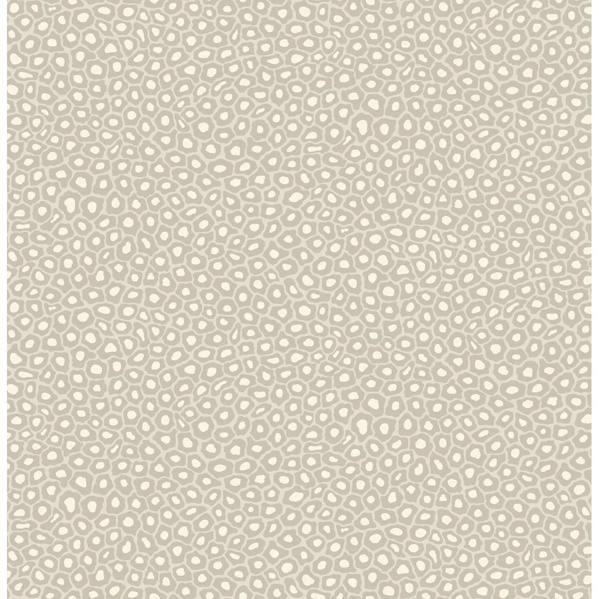 Cole & Son Senzo Spot in Stone & White (109/6030.CS.0)