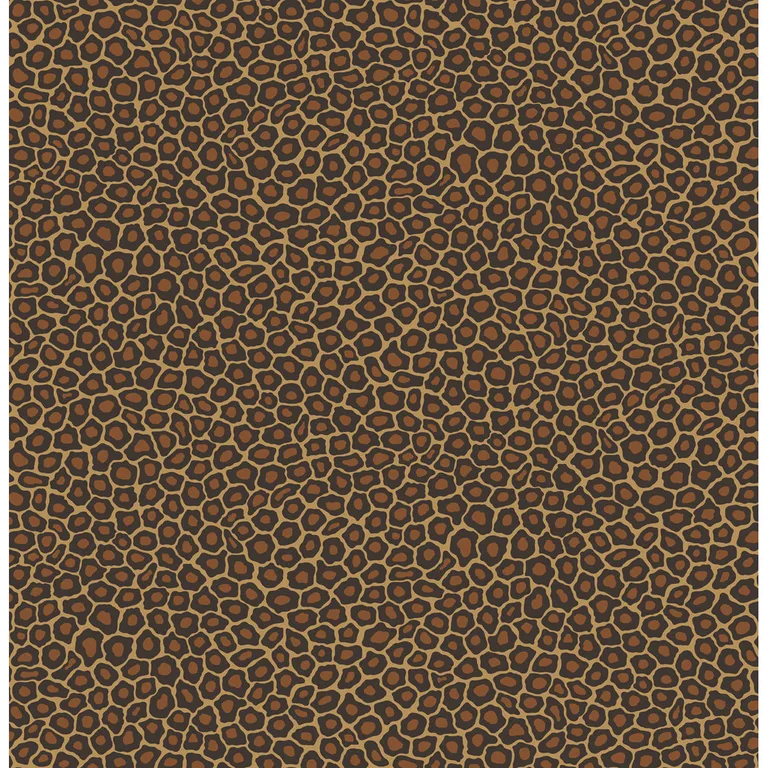 Cole & Son Senzo Spot in True Leopard (109/6028.CS.0)