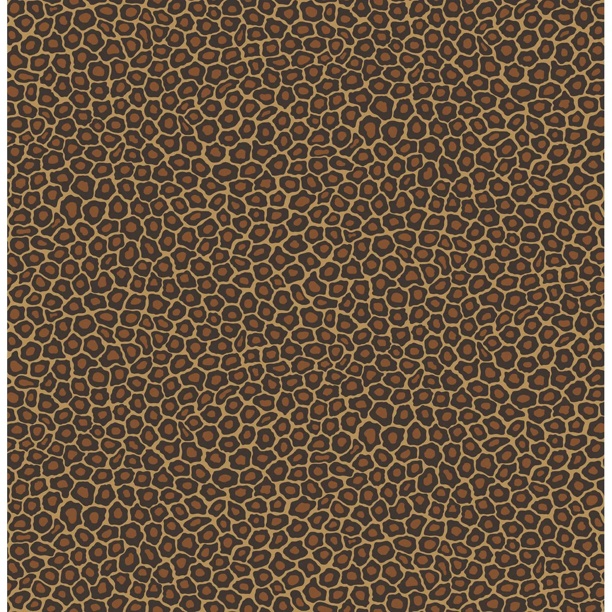 Cole & Son Senzo Spot in True Leopard (109/6028.CS.0)
